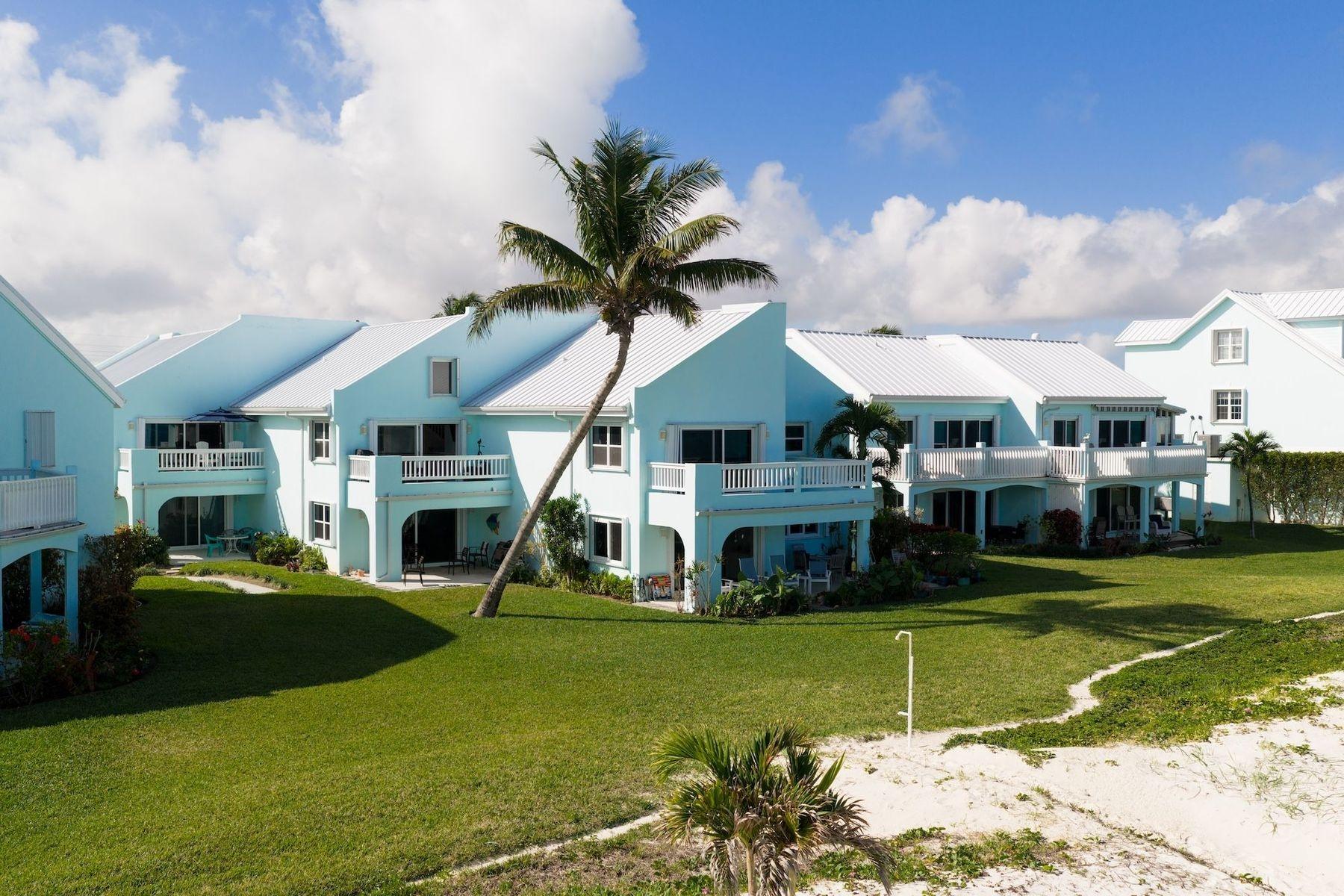 ROYAL POINCIANA 2611