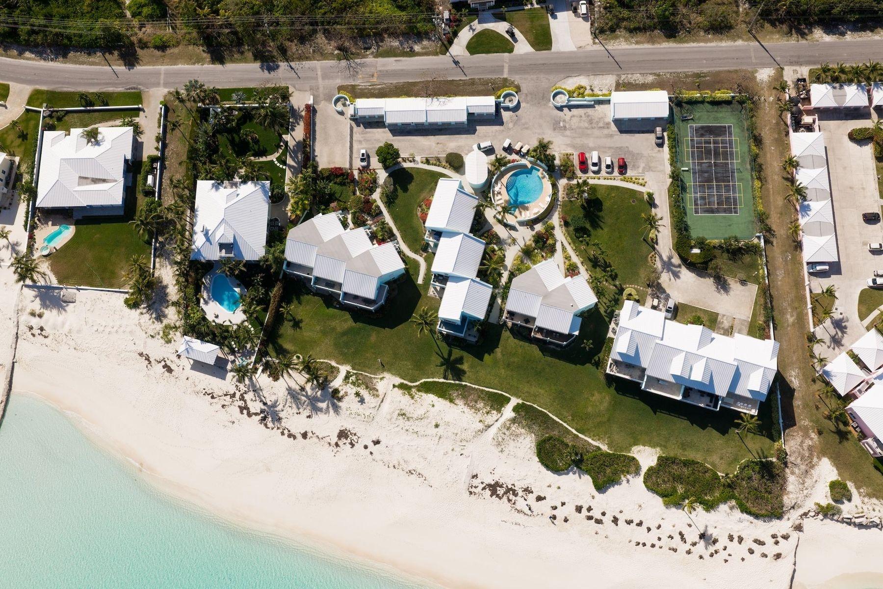 ROYAL POINCIANA 2611