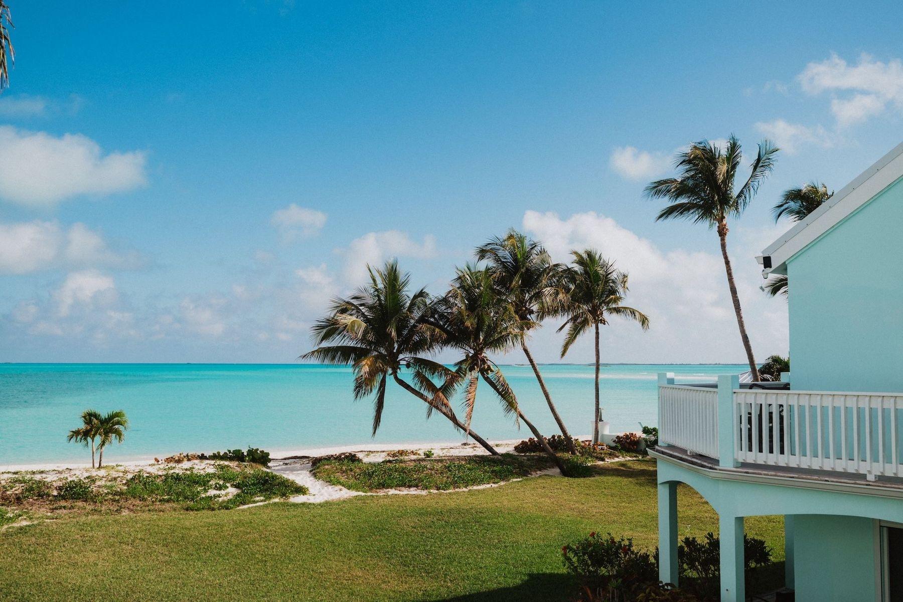 ROYAL POINCIANA 2611