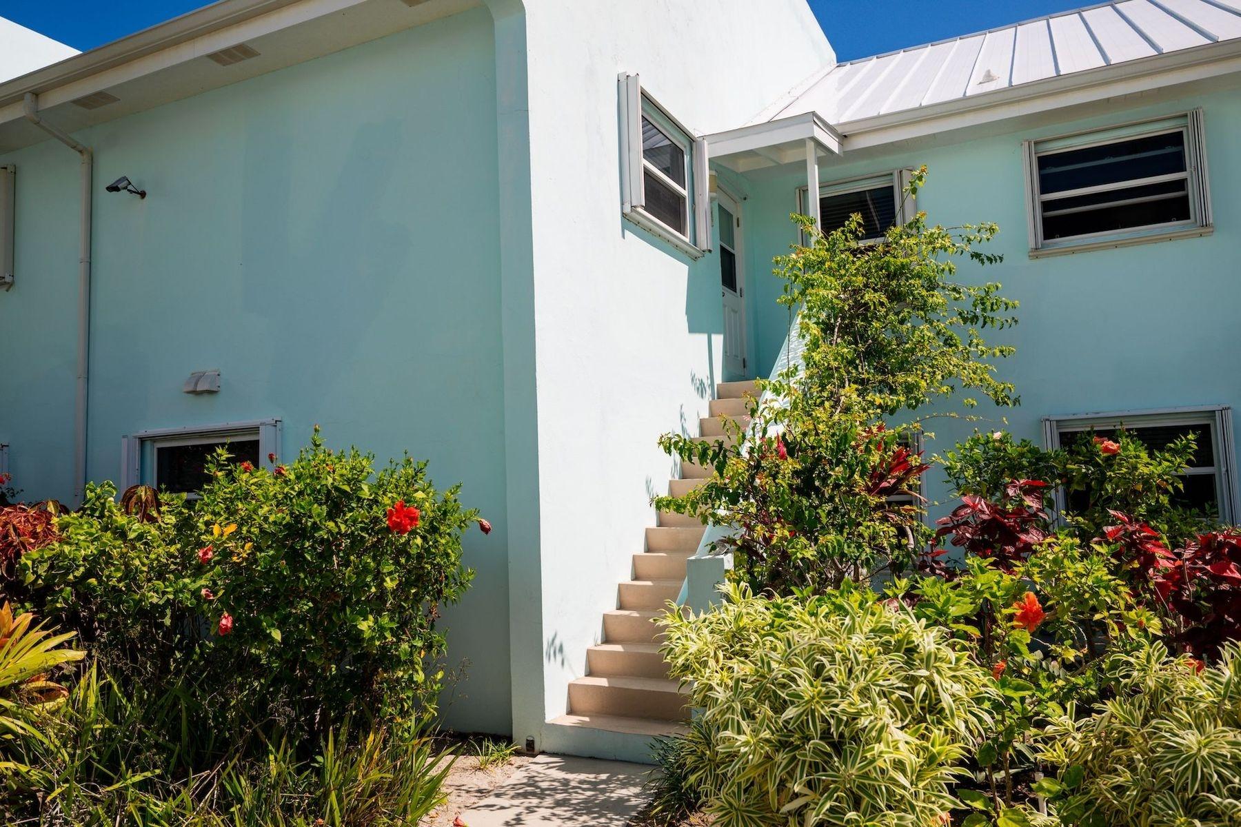 ROYAL POINCIANA 2611