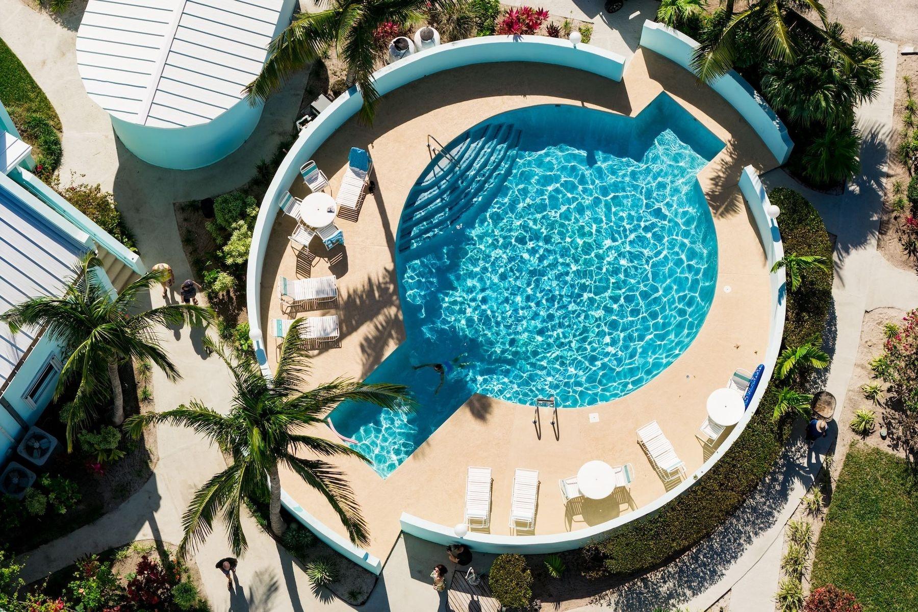 ROYAL POINCIANA 2611