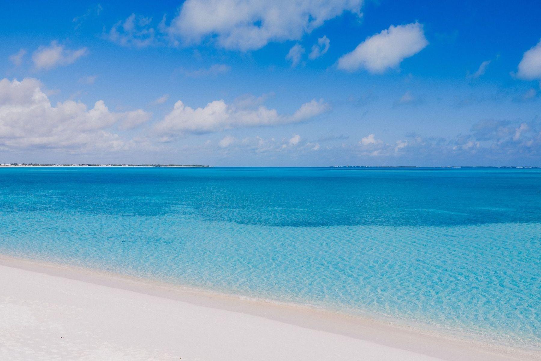 ROYAL POINCIANA 2611