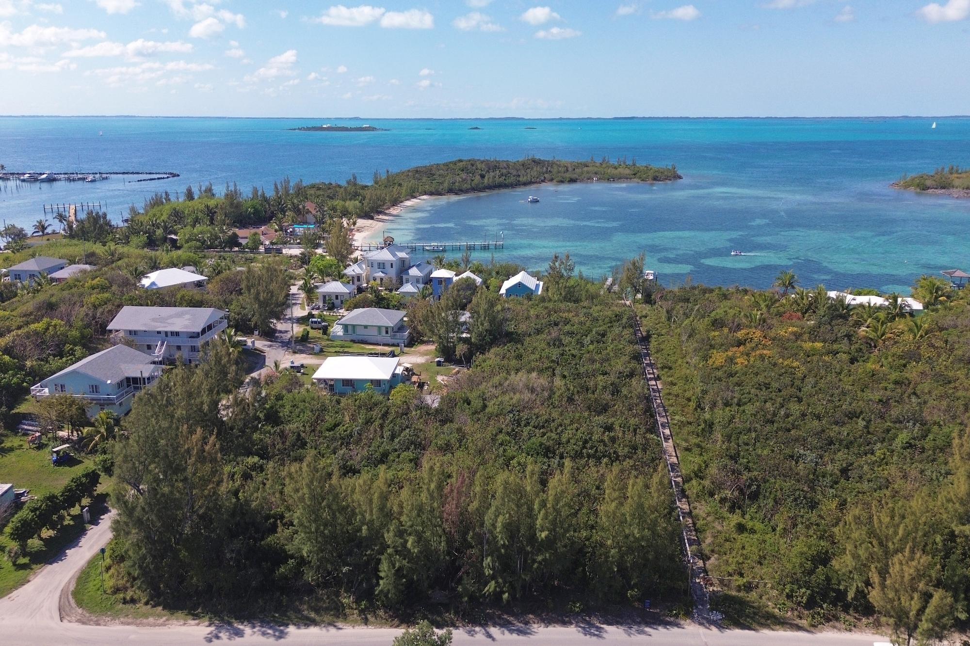 SINGLE FAMILY STARTUP