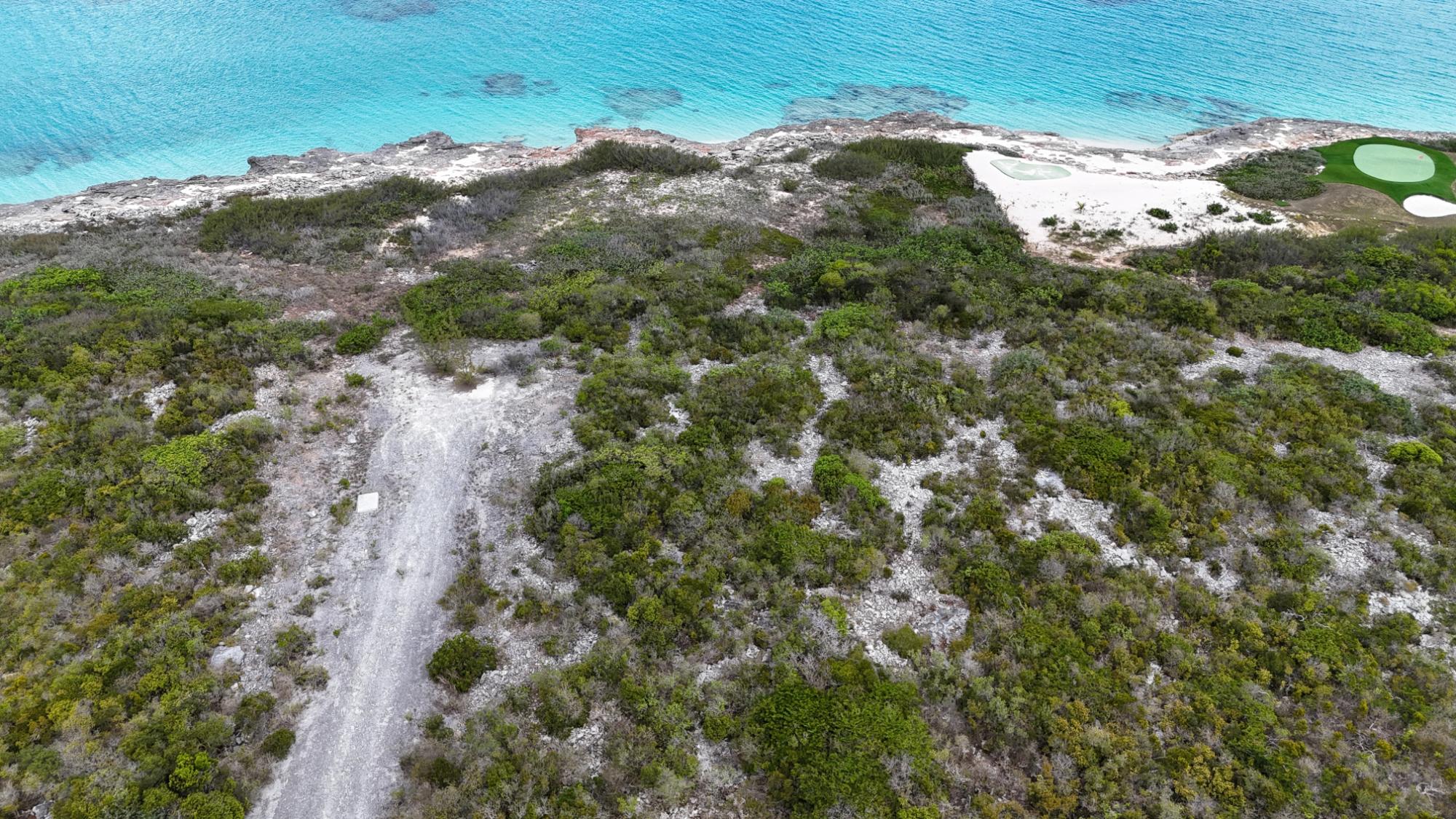 COAST TIP WITH SANDY COVE