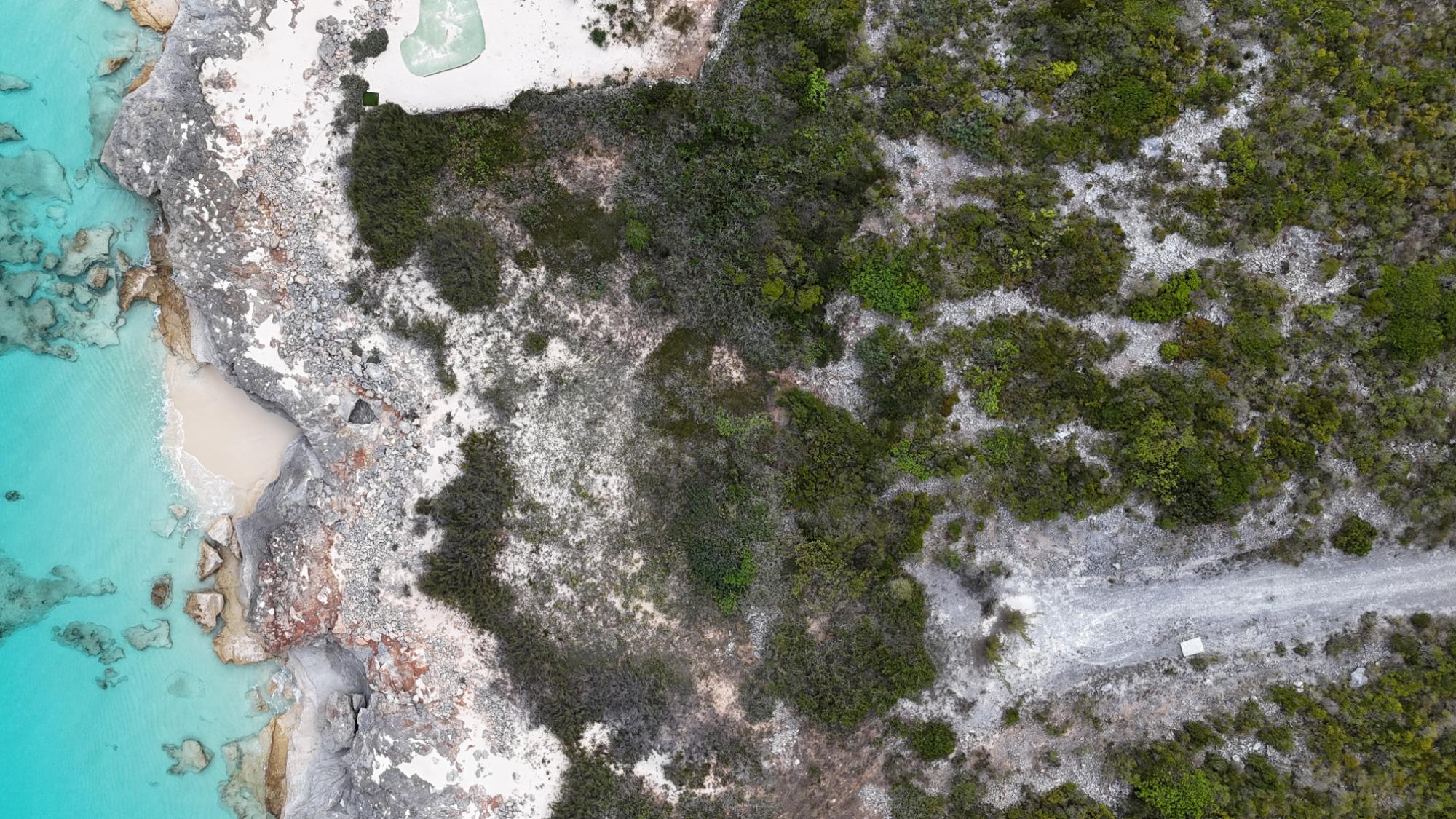 COAST TIP WITH SANDY COVE