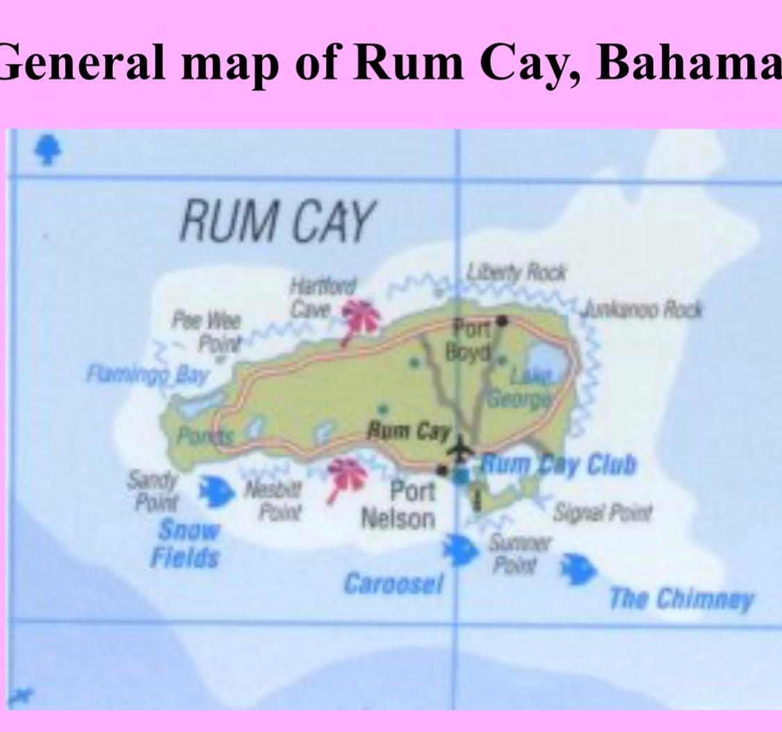 NEAR NESBITT POINT RUM CA