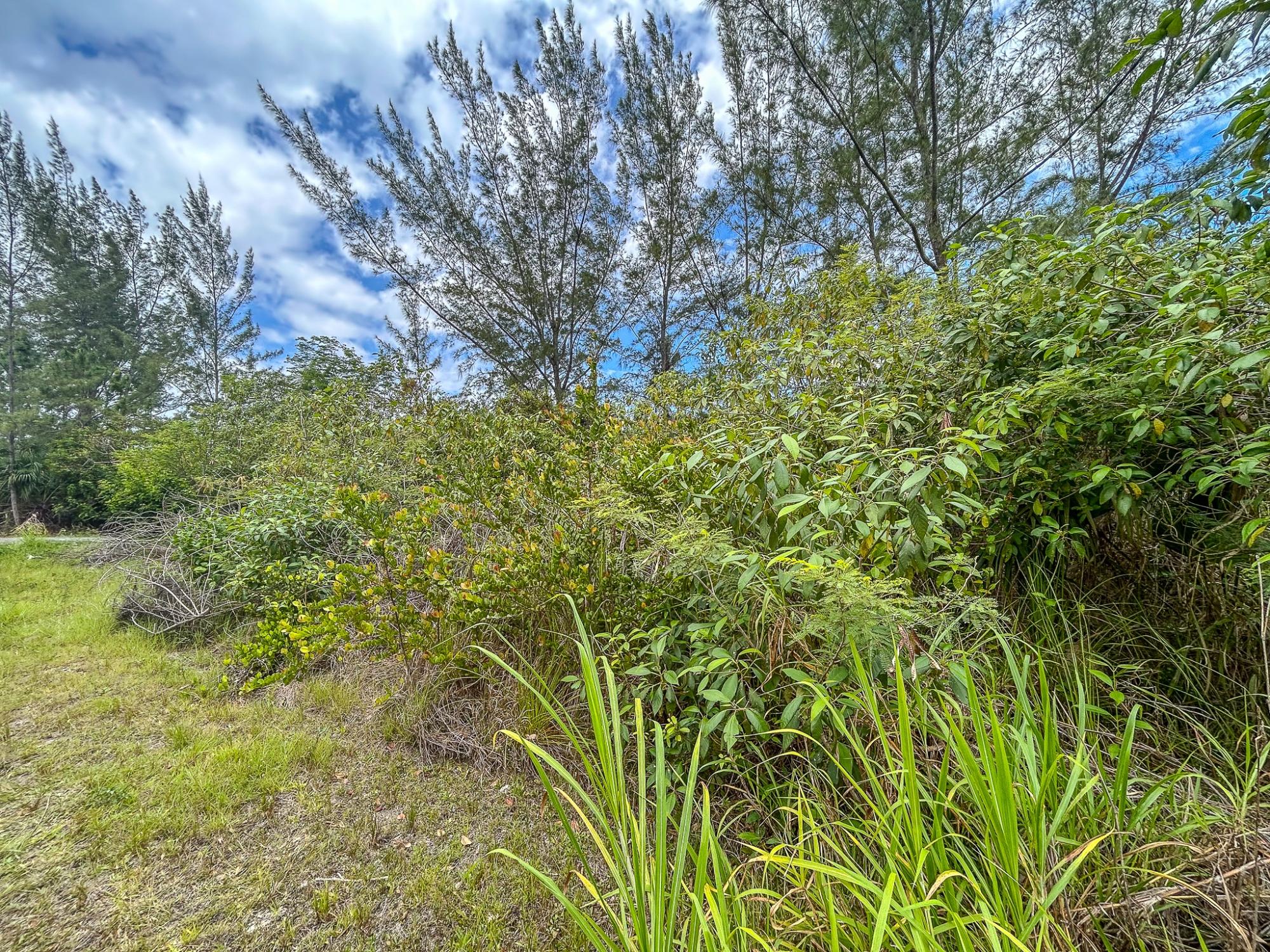 YUMA ESTATES