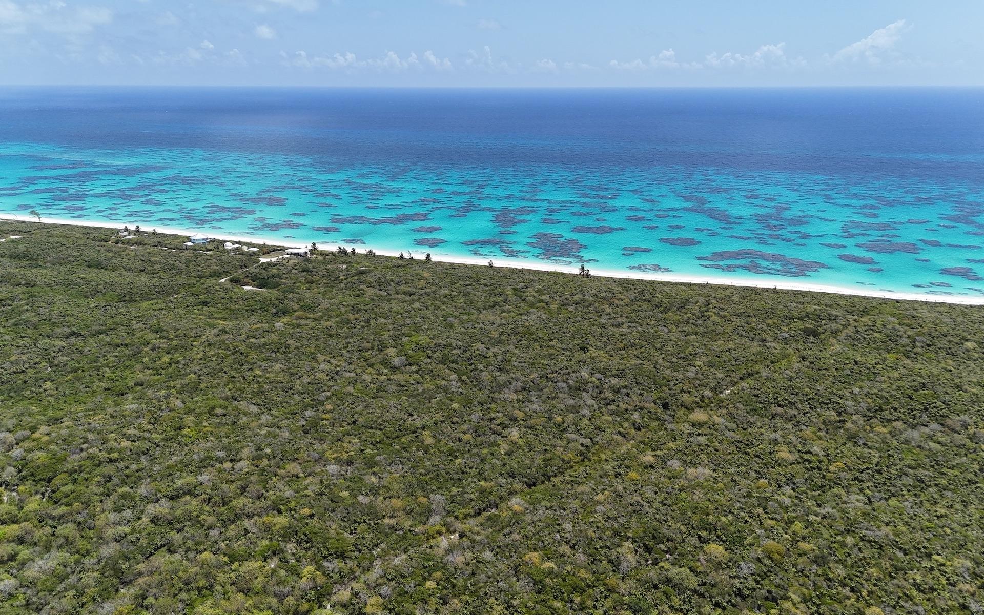 PRIME BEACHFRONT ACREAGE