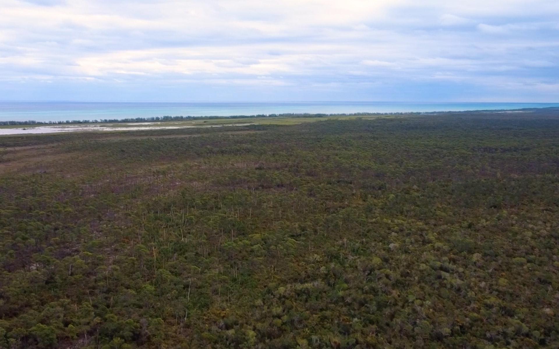 STANIARD CAY, 4.685 ACRES