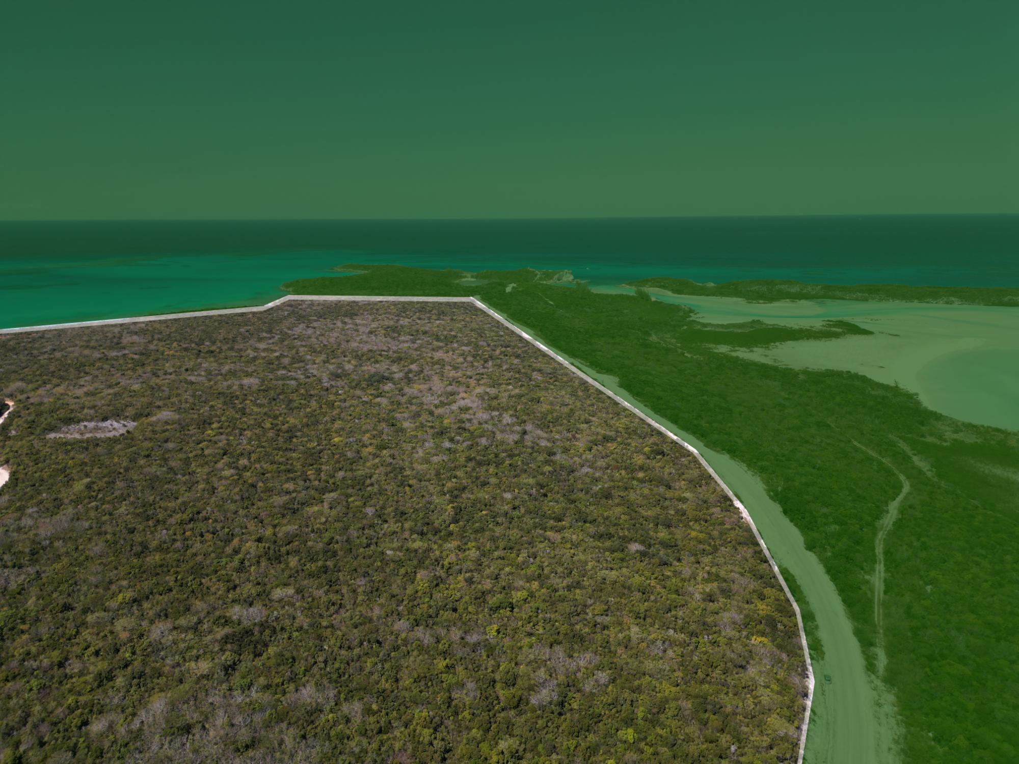 Huntington Tract