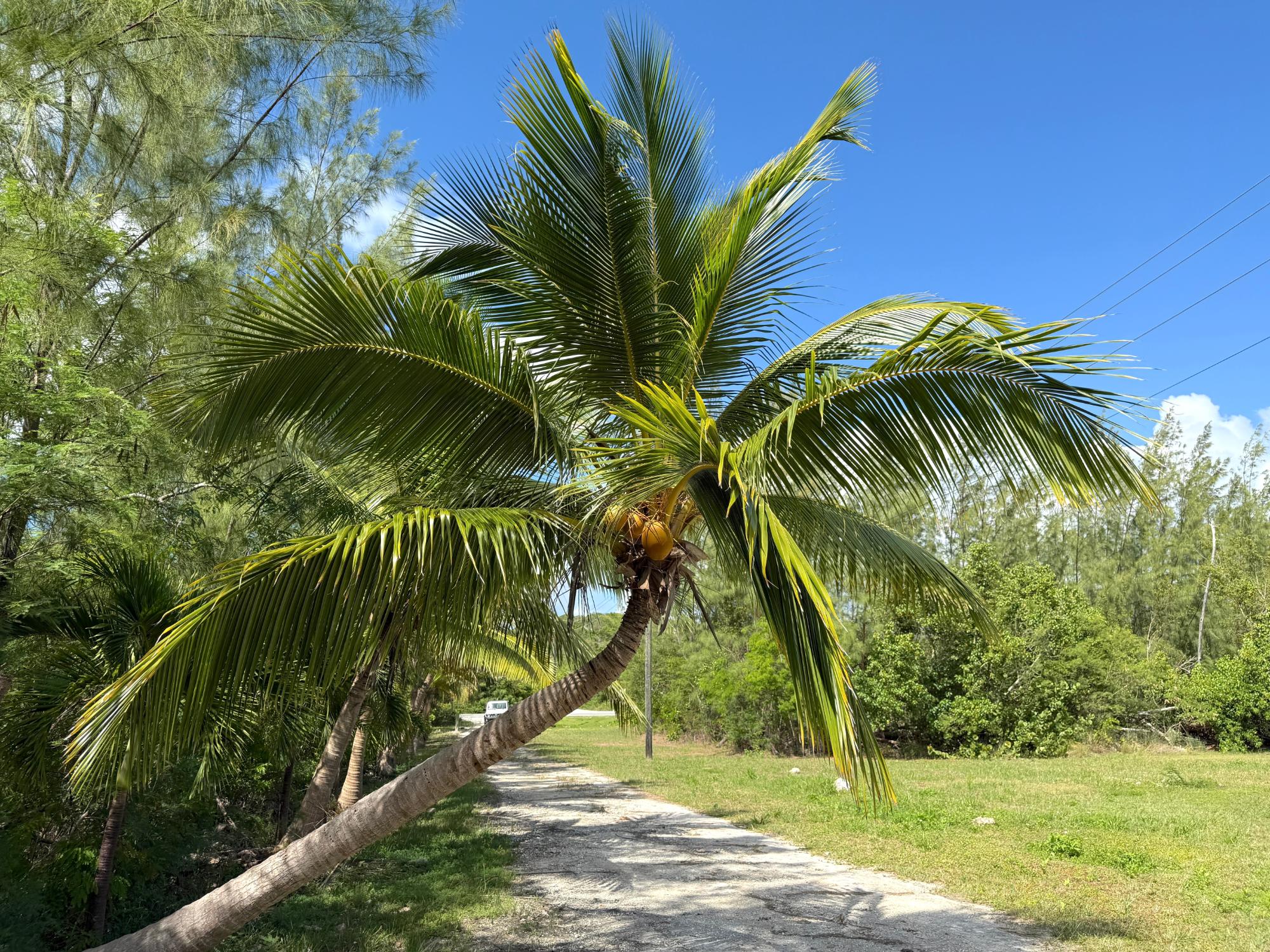 PETTY’S WATERFRONT HOME