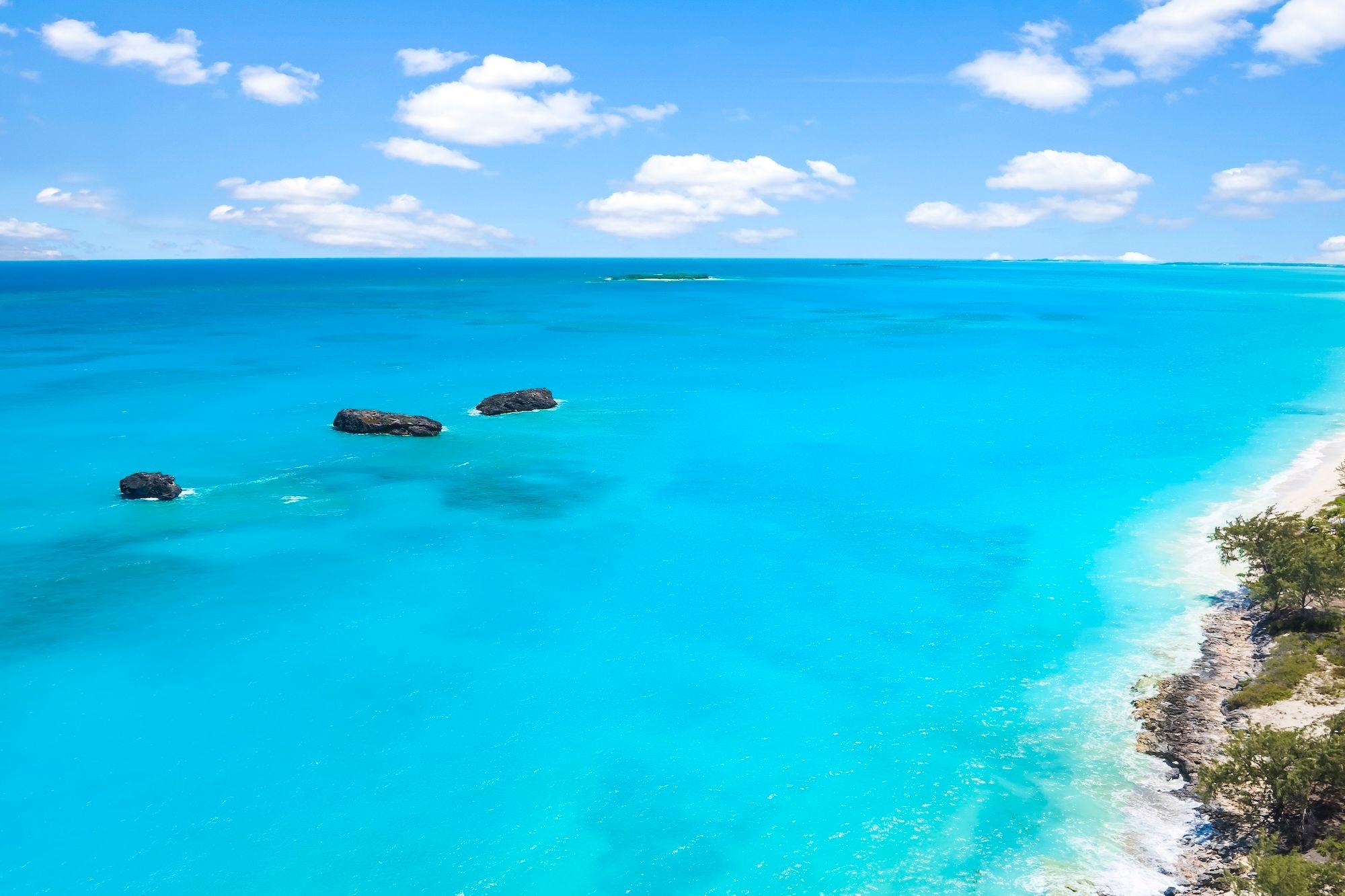 Monkey Sea