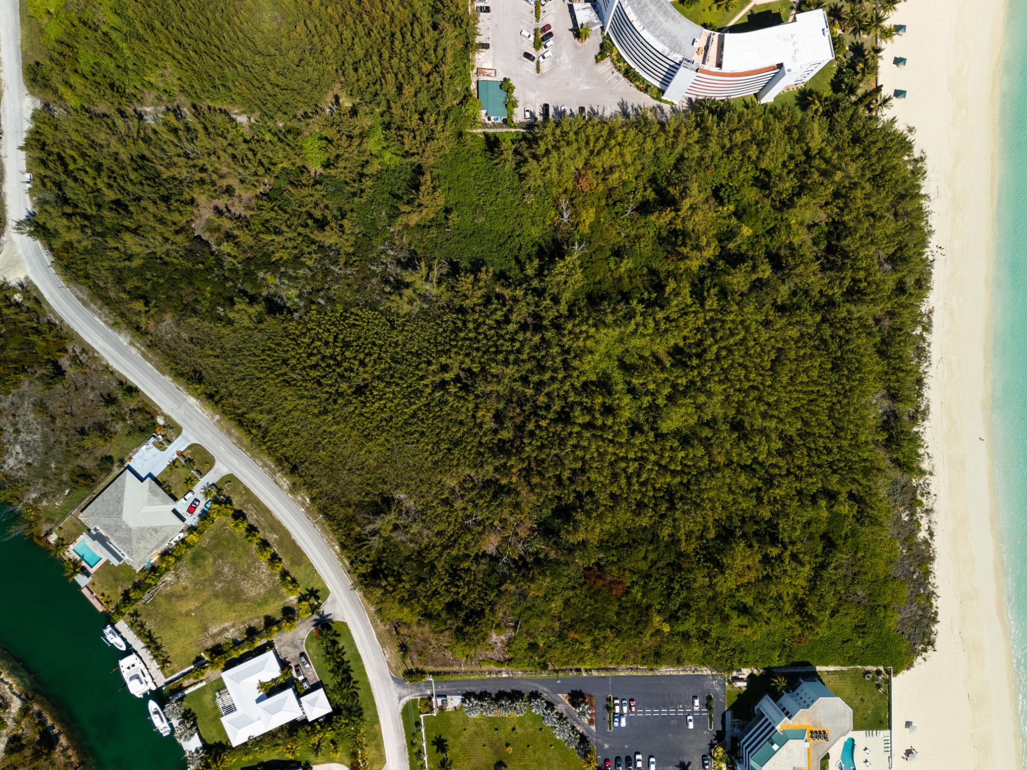 ROYAL PALM WAY