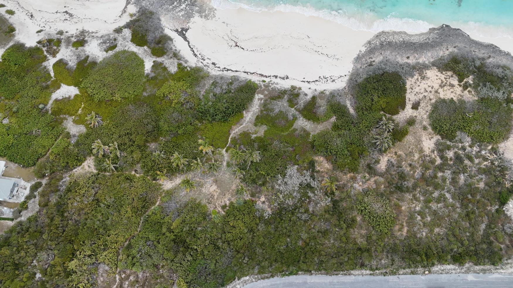 BEACHFRONT FARMERS HILL