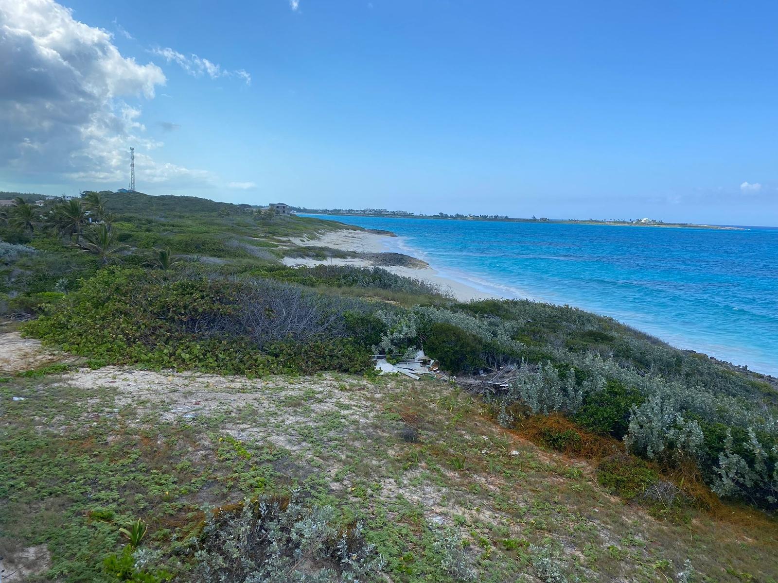 BEACHFRONT FARMERS HILL