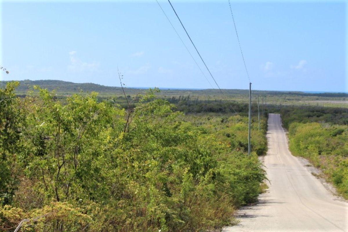 LOT# C3 SCRUB HILL