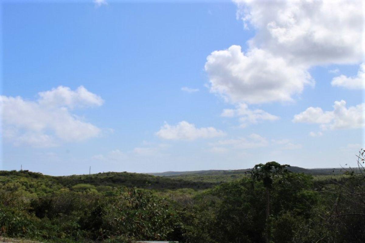 LOT# C3 SCRUB HILL