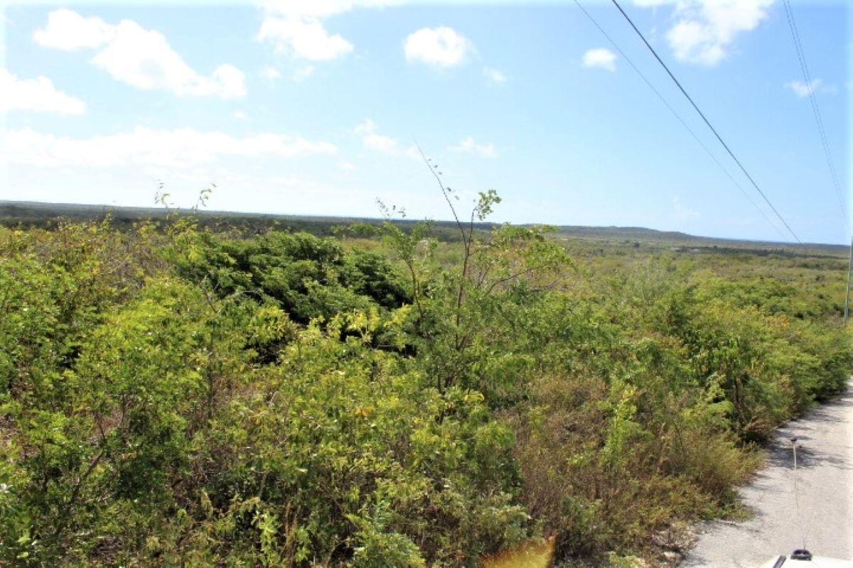 LOT# C3 SCRUB HILL