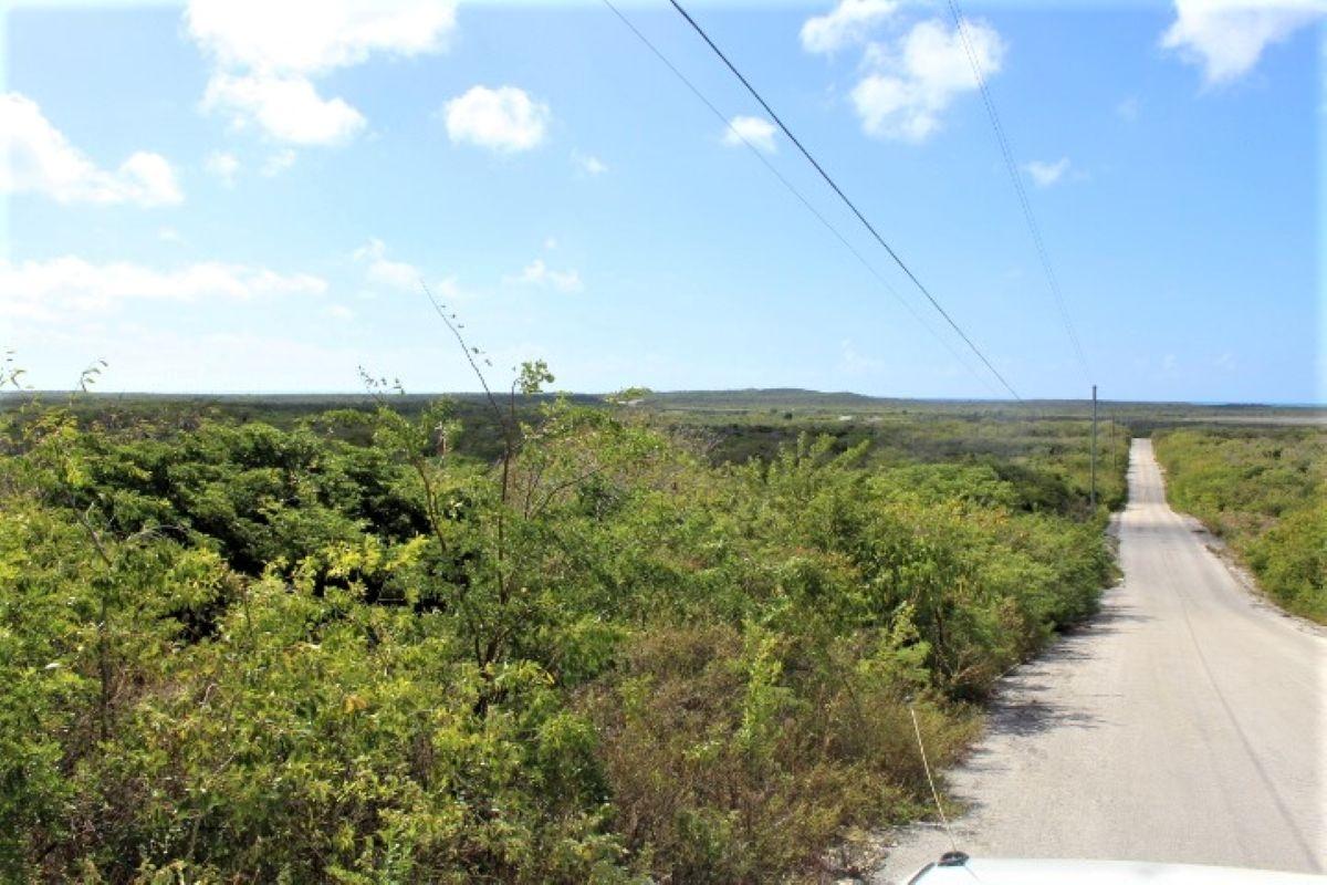 LOT# C3 SCRUB HILL