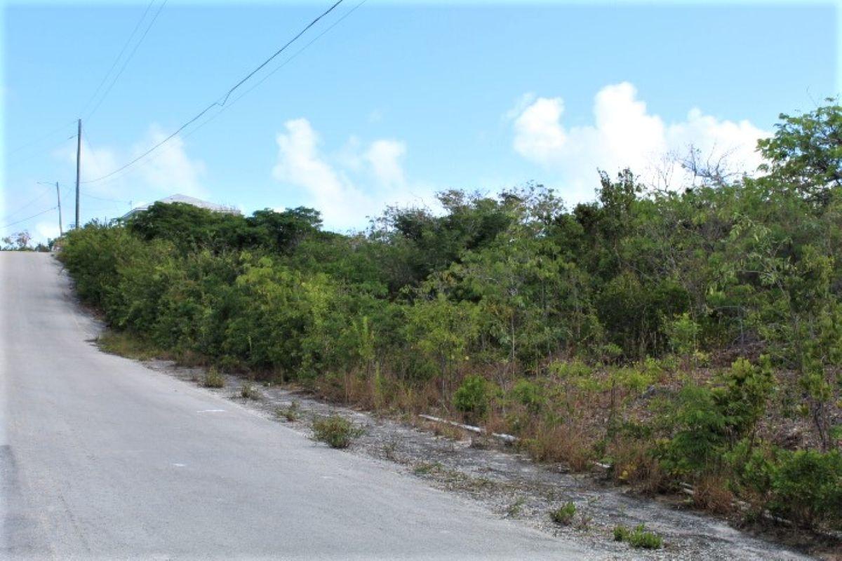 LOT# C3 SCRUB HILL