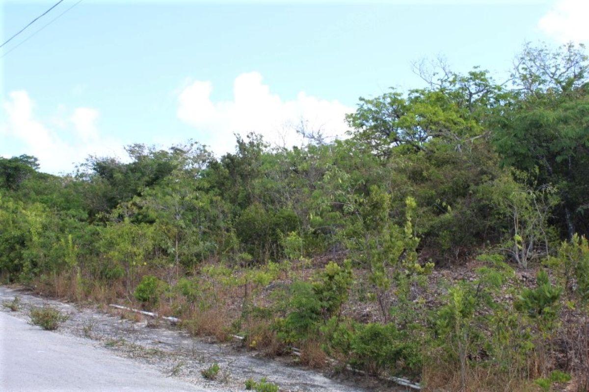 LOT# C3 SCRUB HILL