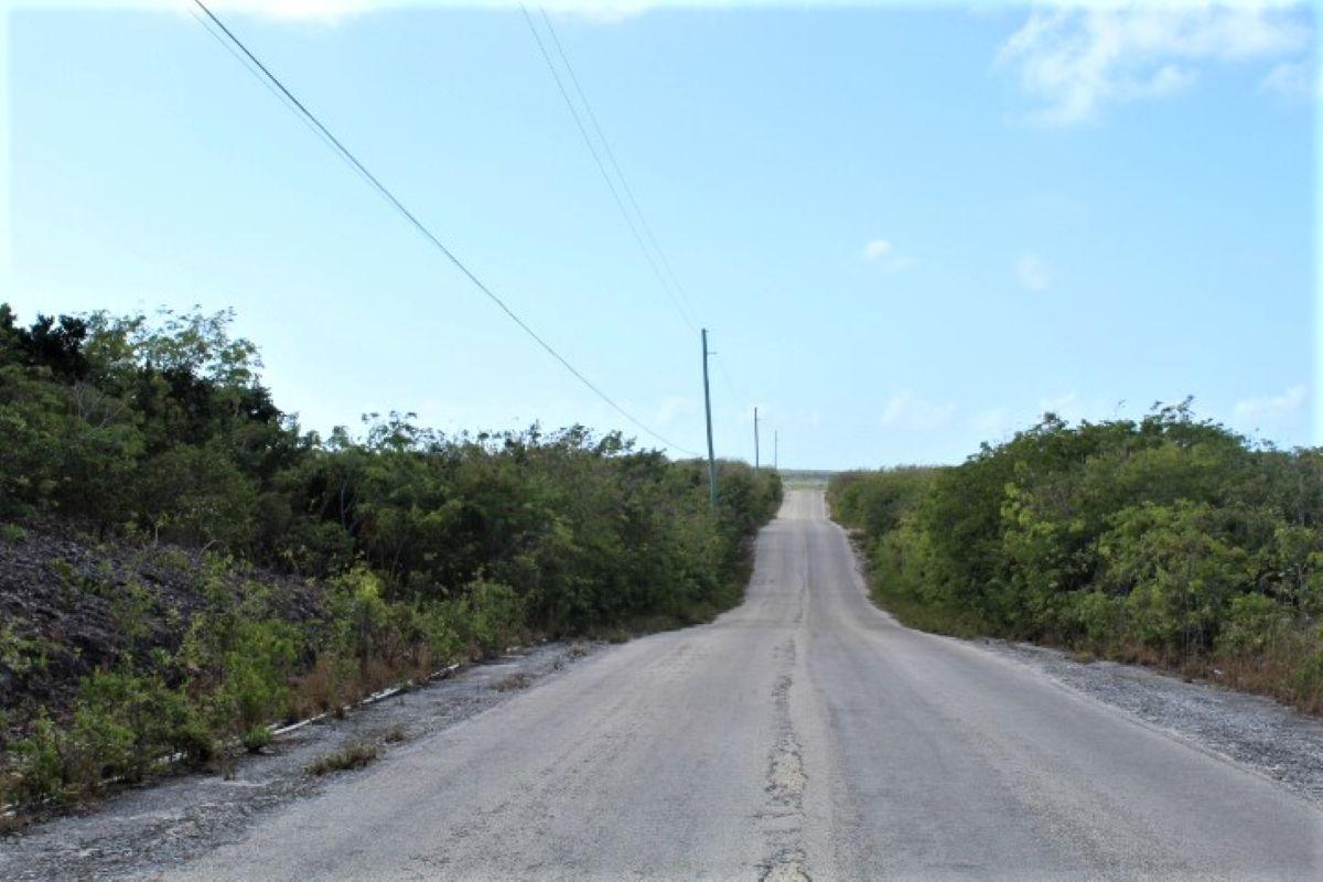 LOT# C3 SCRUB HILL