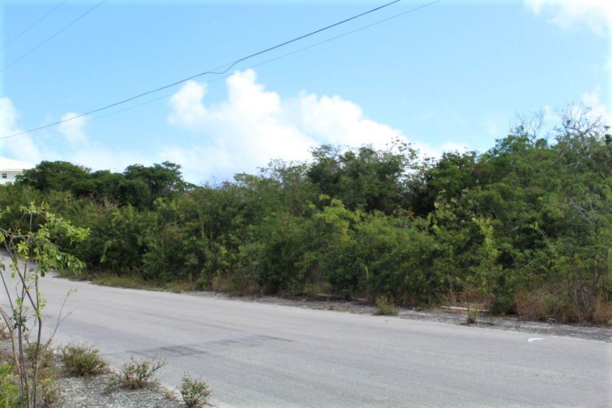 LOT# C3 SCRUB HILL
