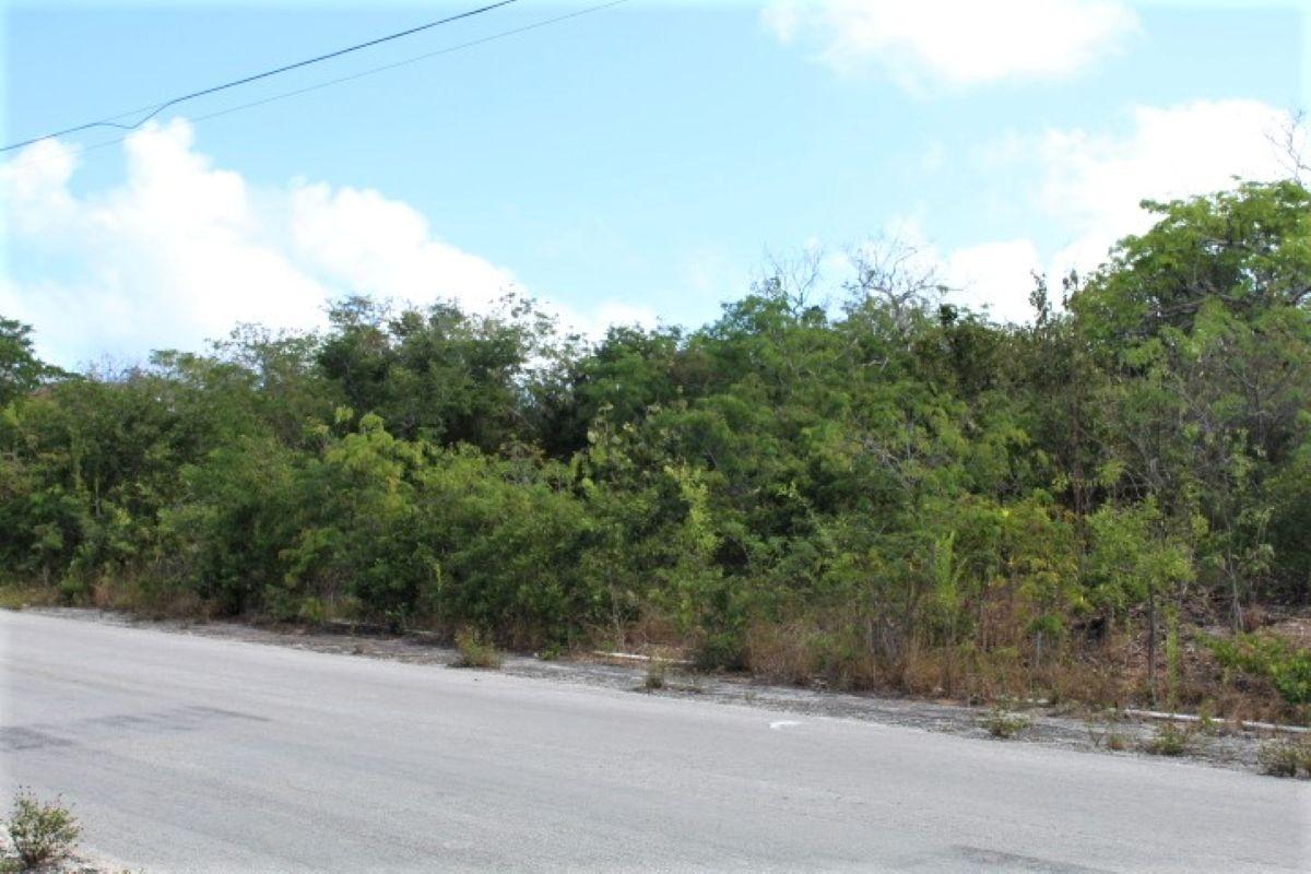 LOT# C3 SCRUB HILL