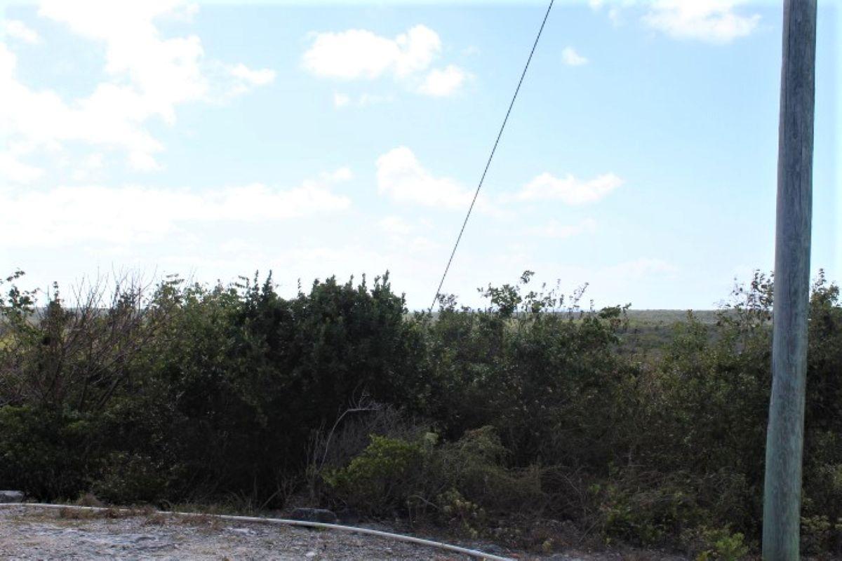 LOT# C3 SCRUB HILL