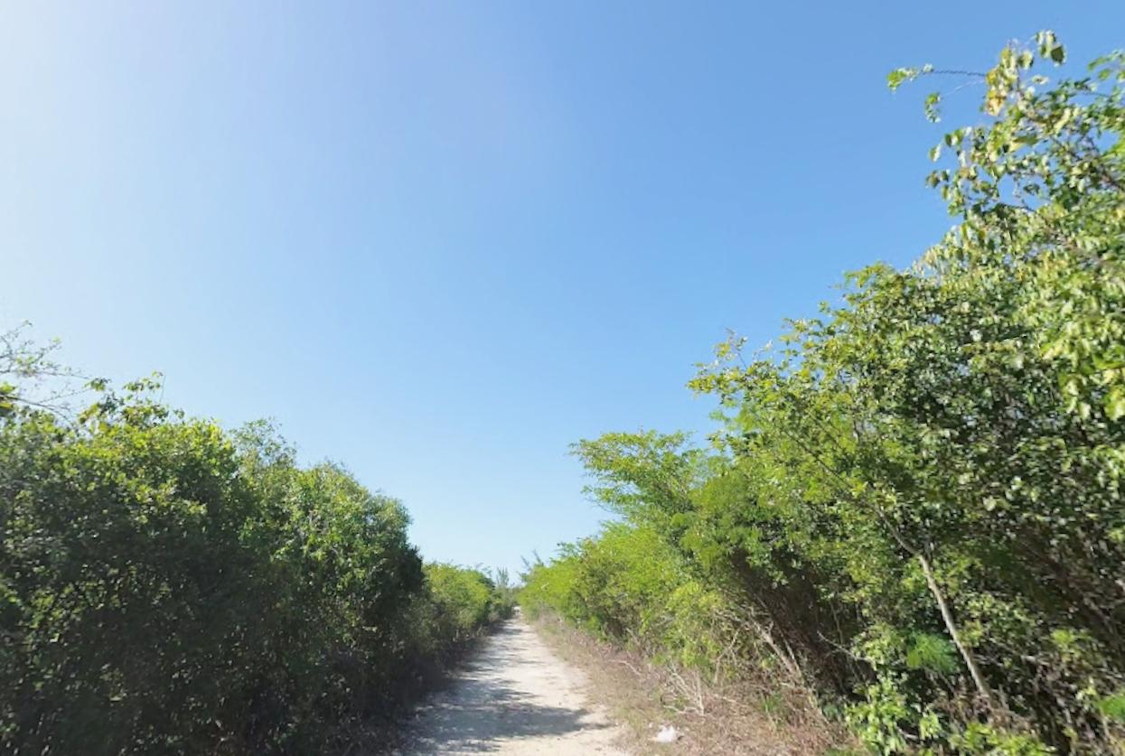 BAHAMA SOUND EXUMA