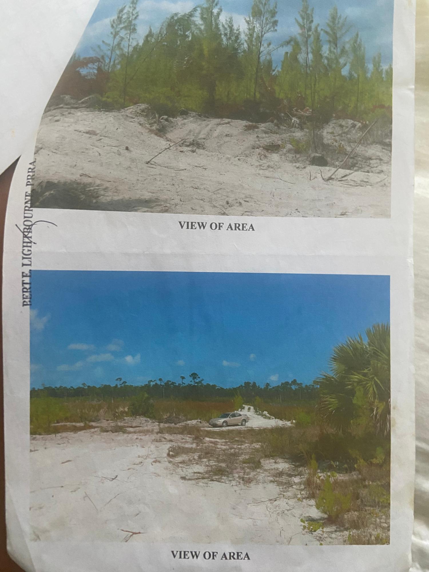 MOUNT PLEASANT BEACH