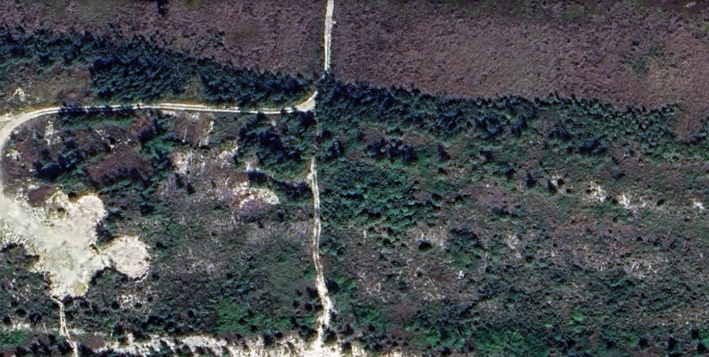 MOUNT PLEASANT BEACH