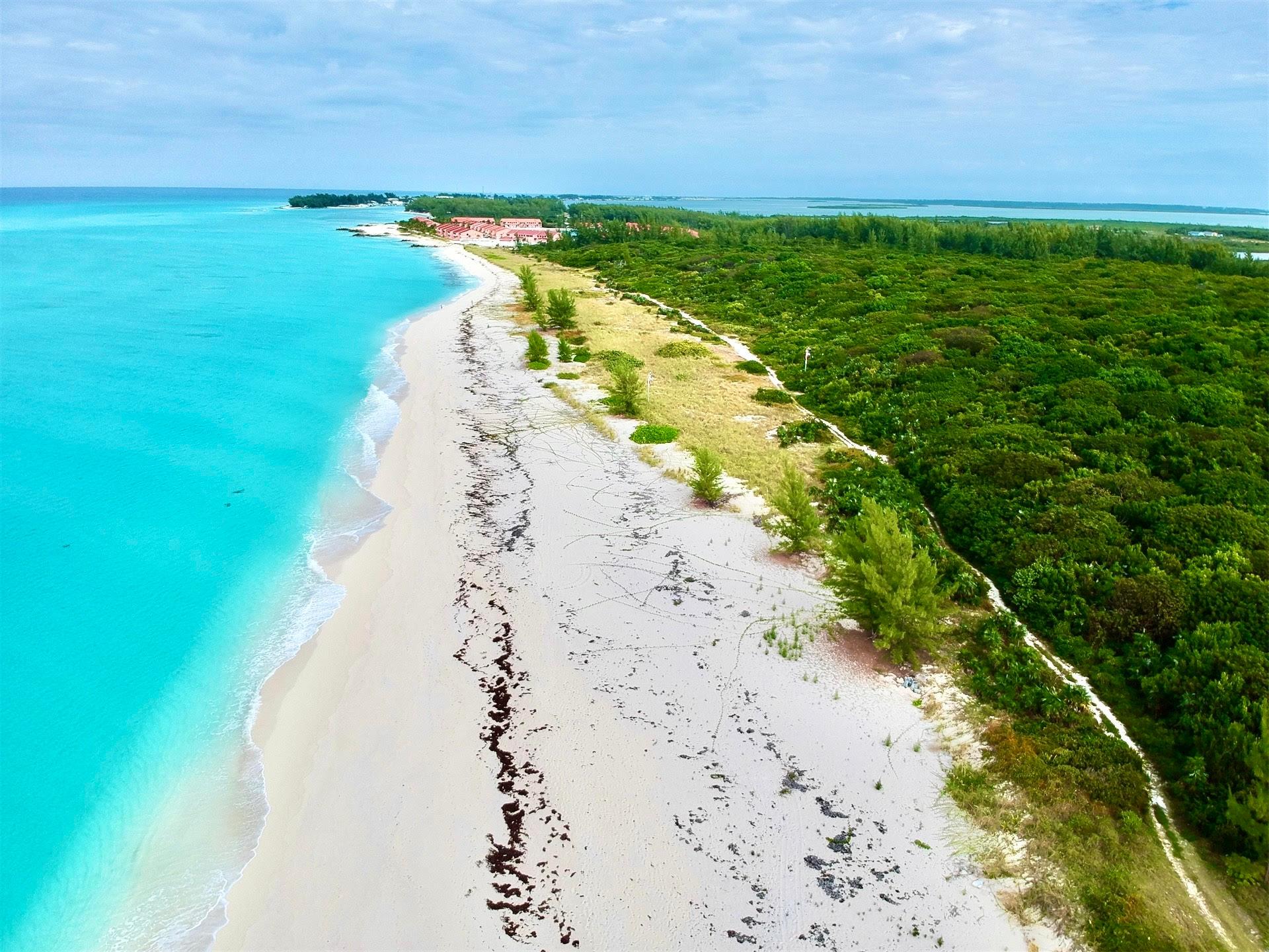 BIMINI 179 ACRE PARCEL