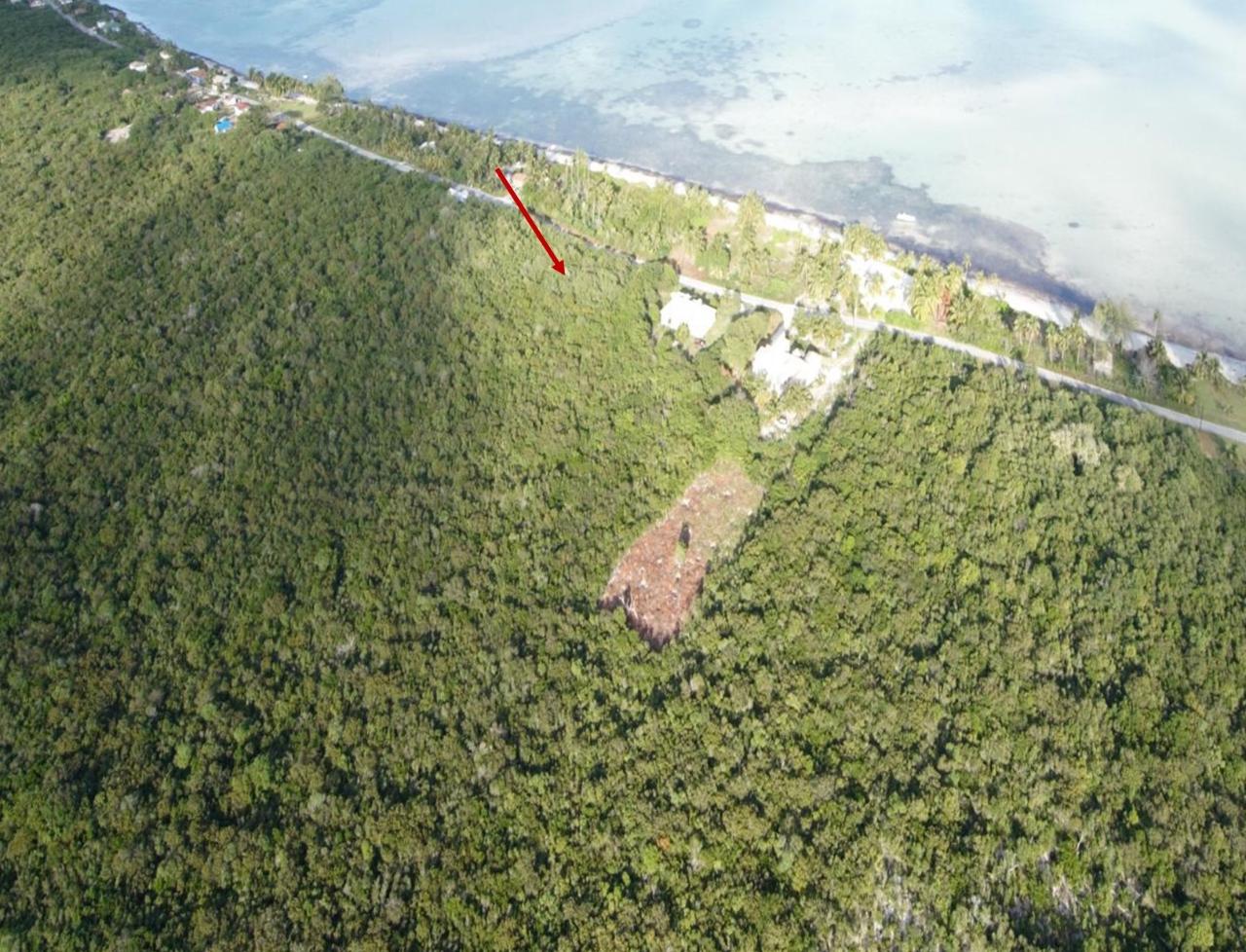 Andros Property