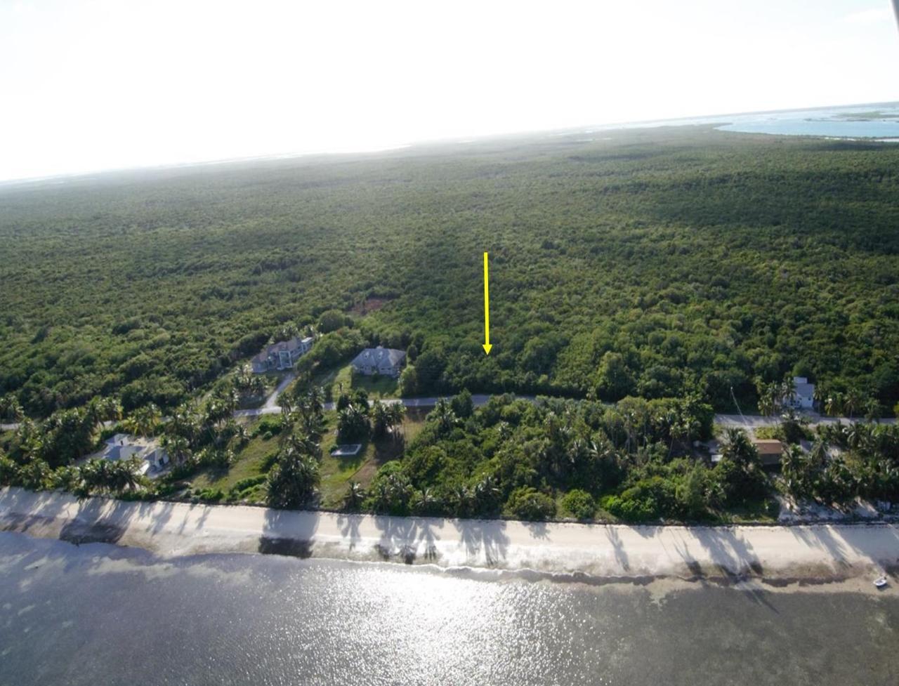 Andros Property