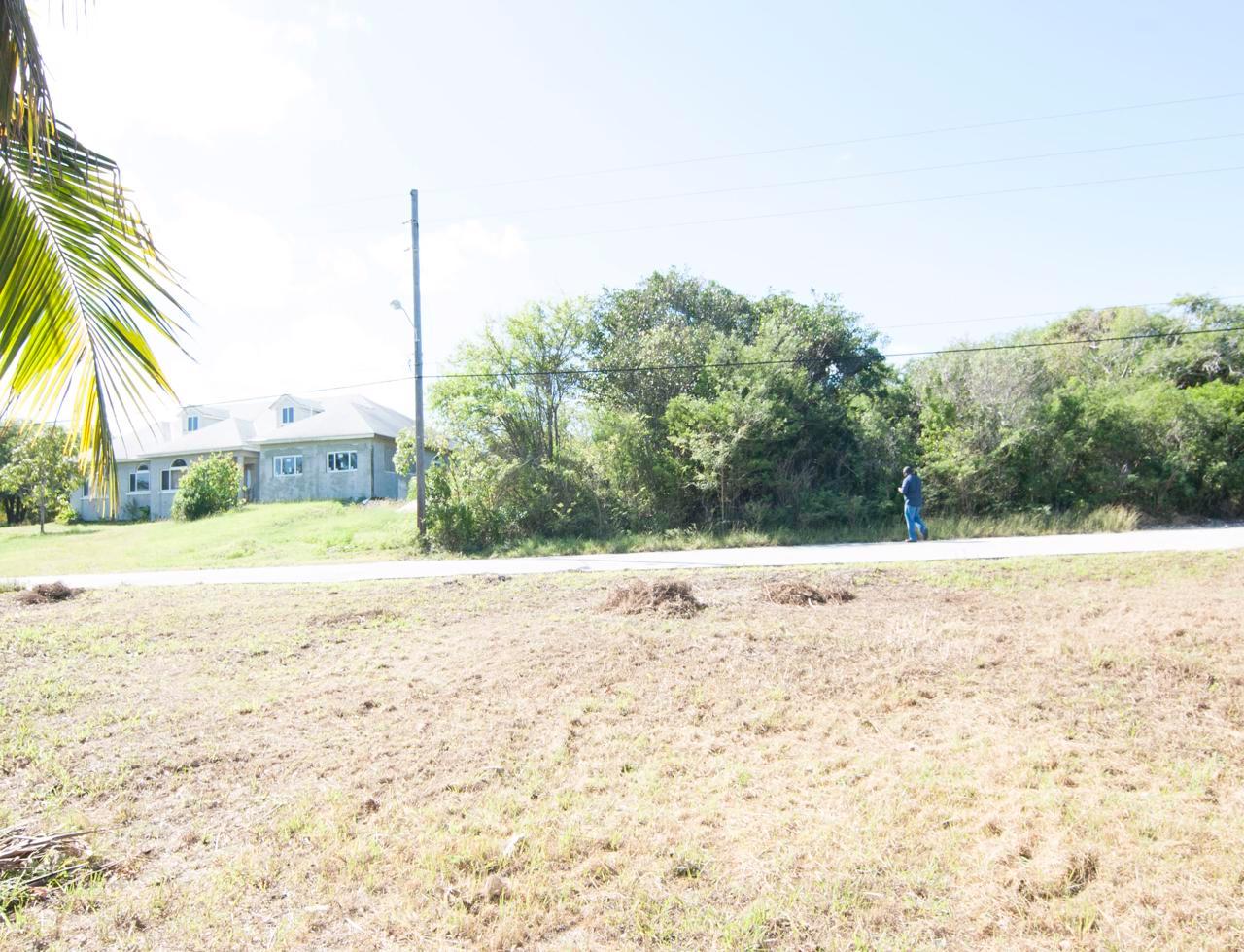 Andros Property