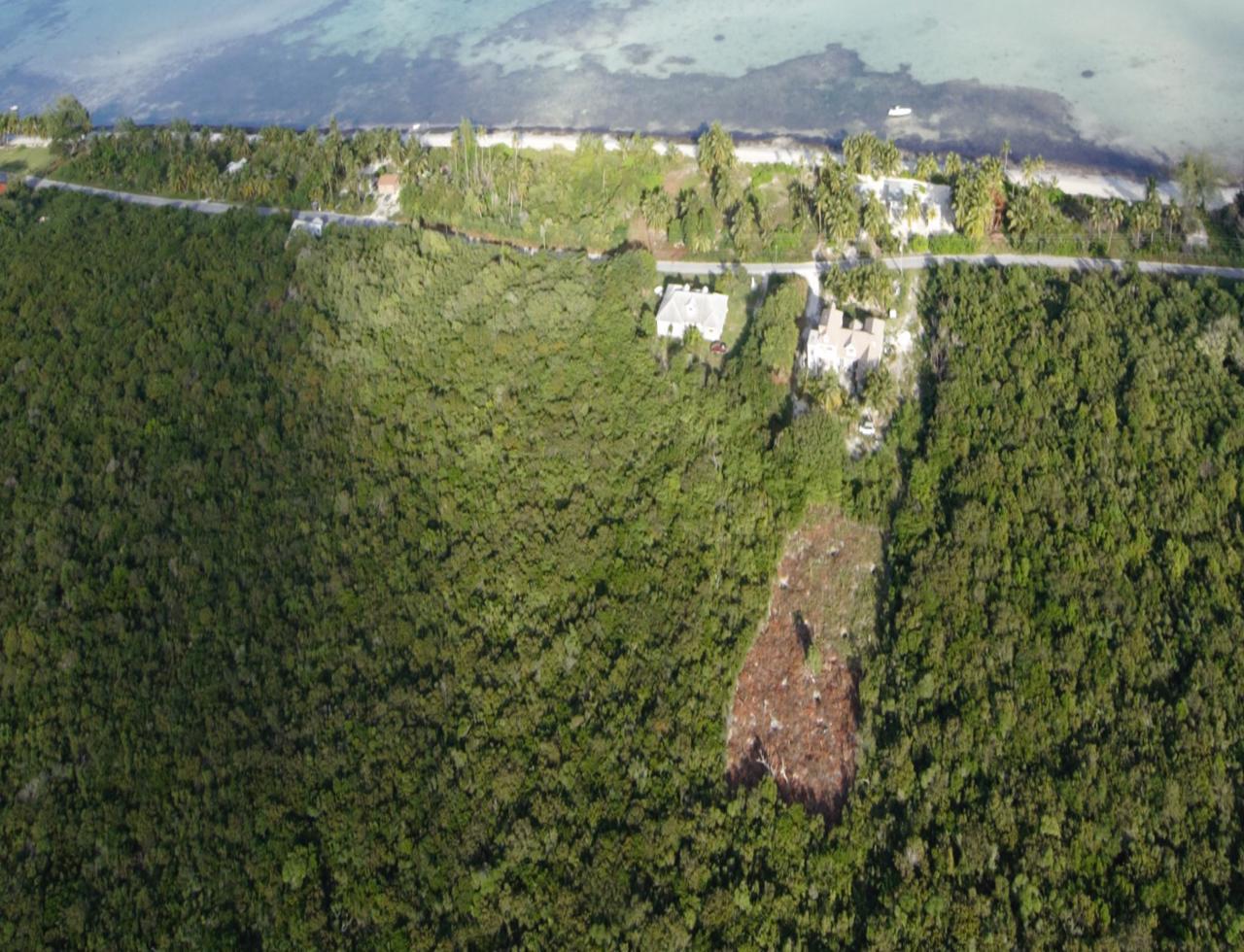 Andros Property