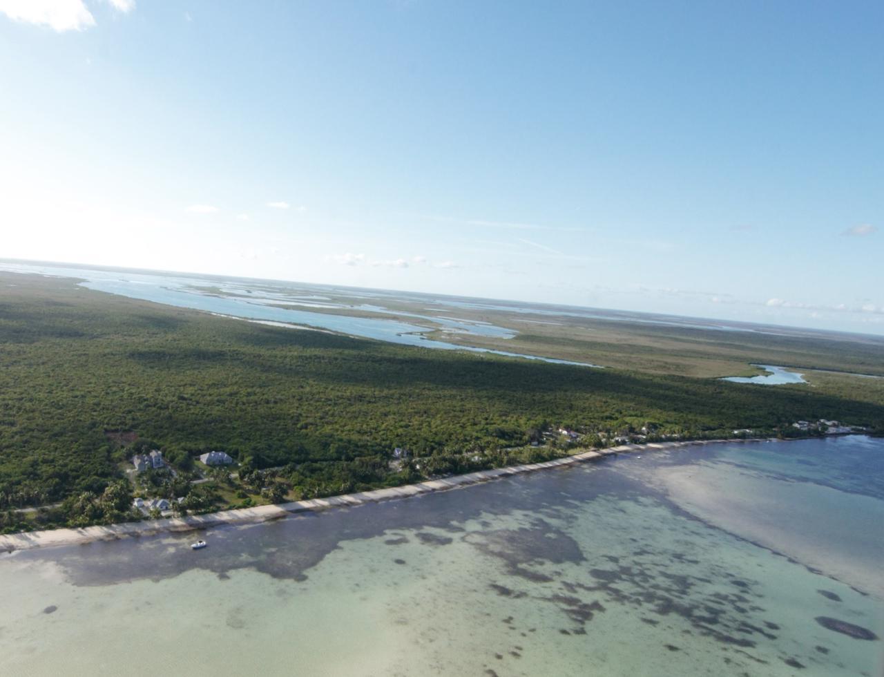 Andros Property