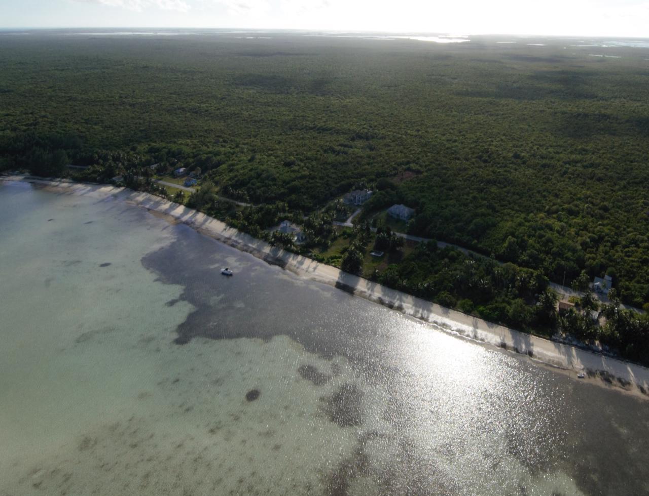 Andros Property