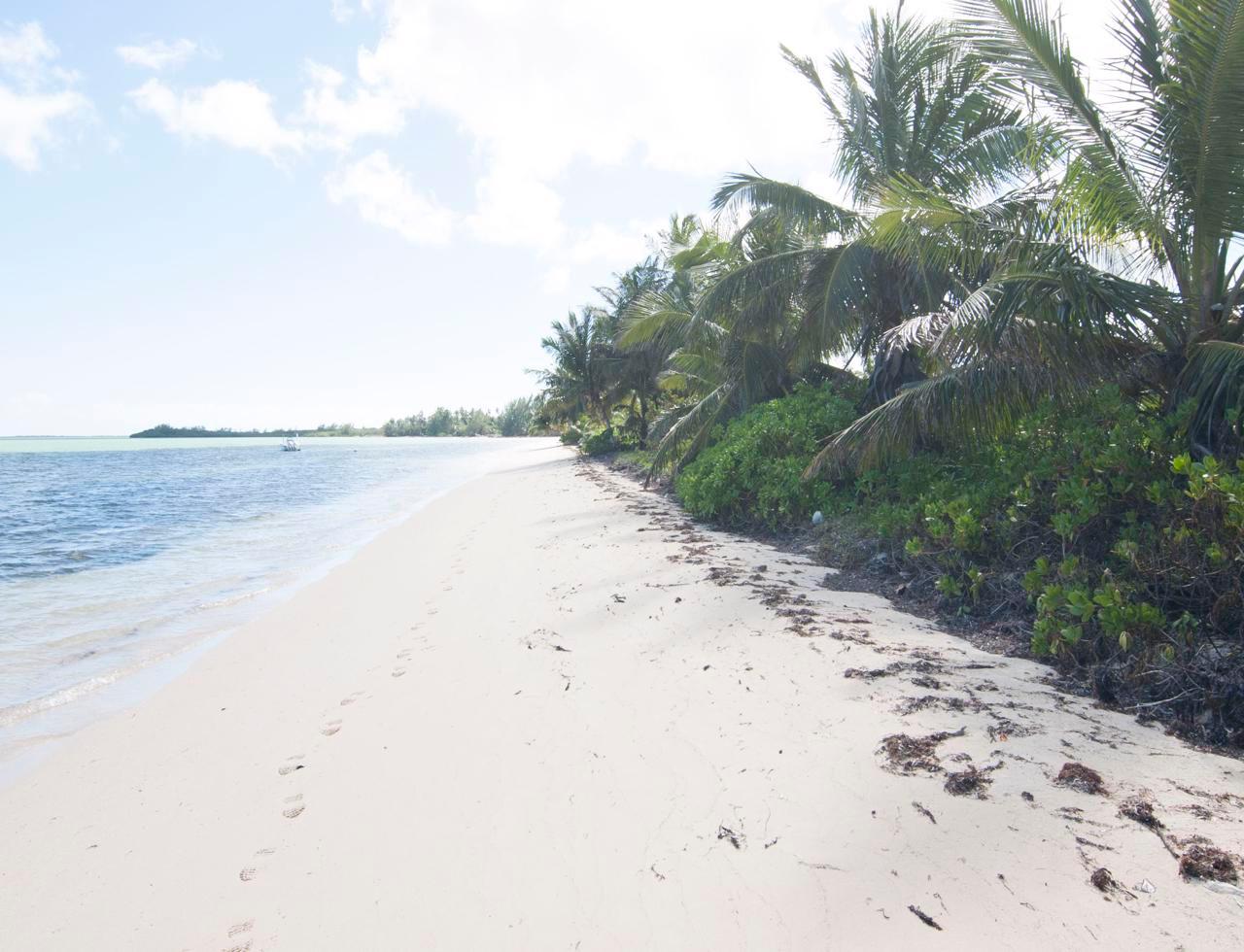 Beachfront Lot
