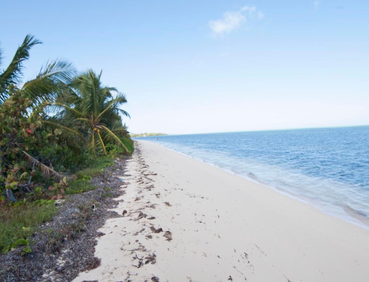 Beachfront Lot