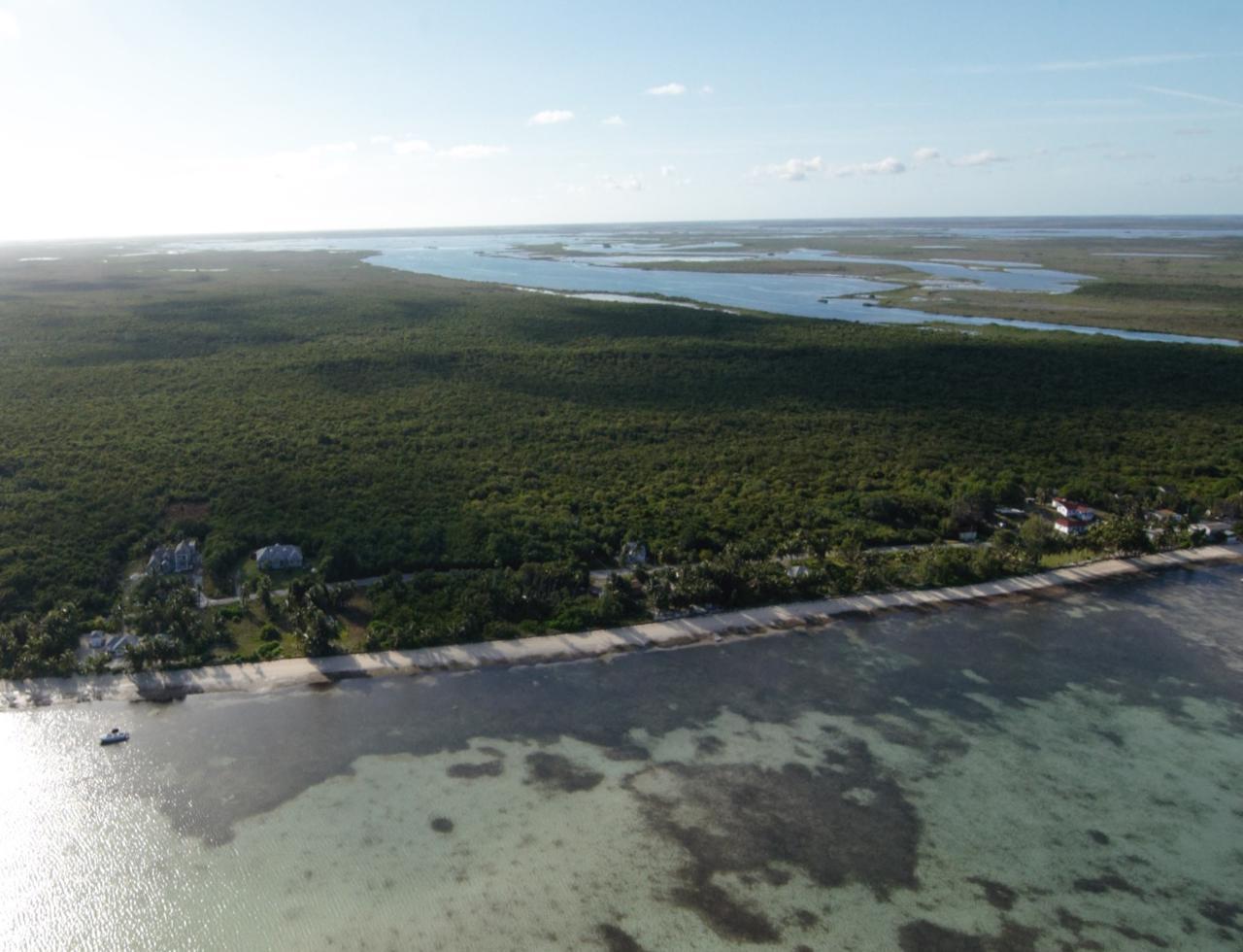 Beachfront Lot
