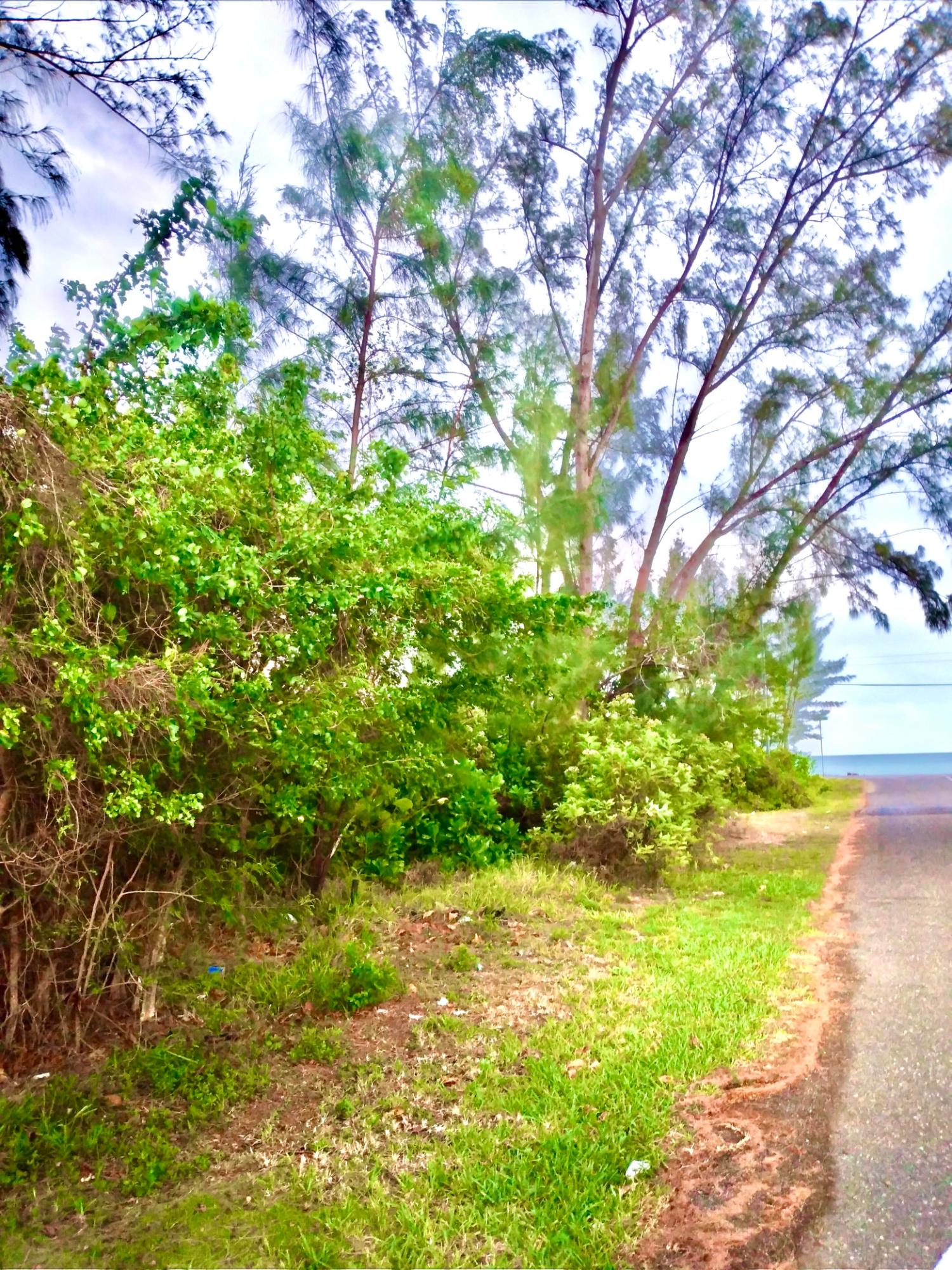 ANDROS 200 ACRES