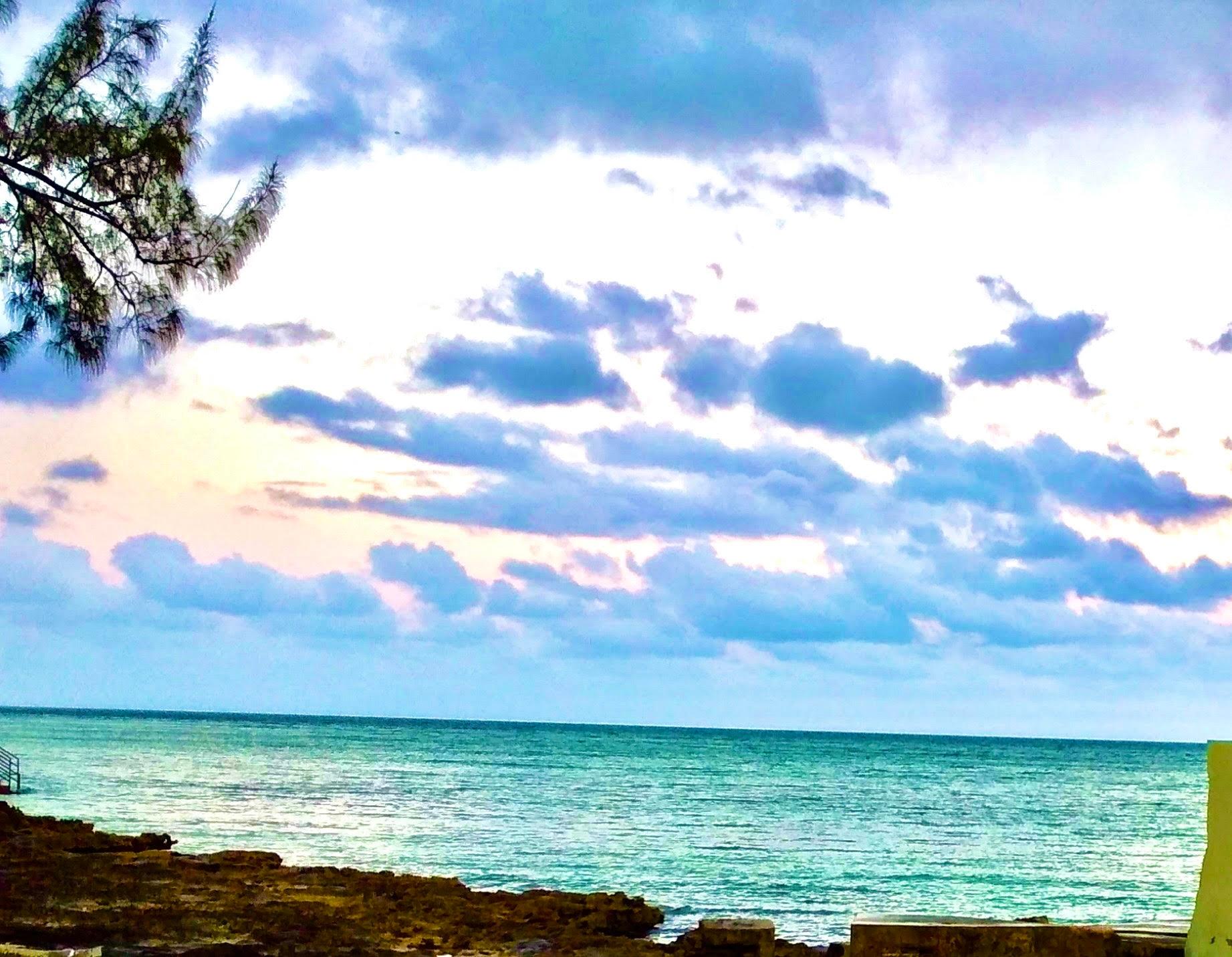 ANDROS 200 ACRES