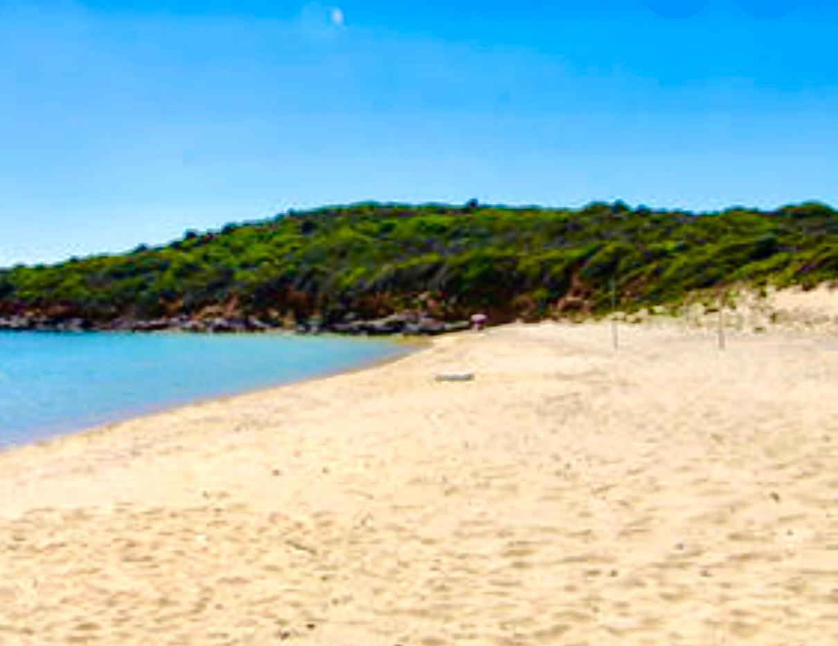 ANDROS 200 ACRES