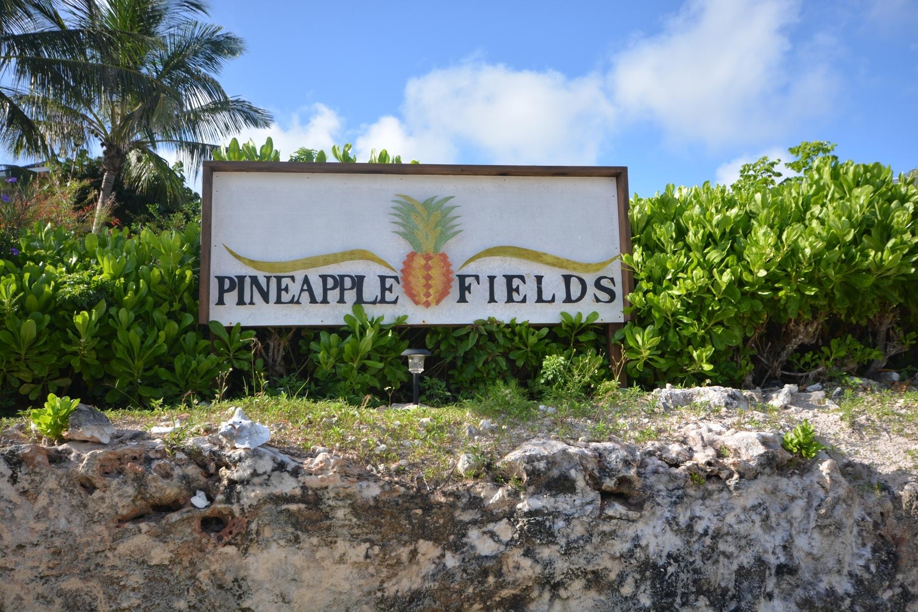 PINEAPPLE FIELDS