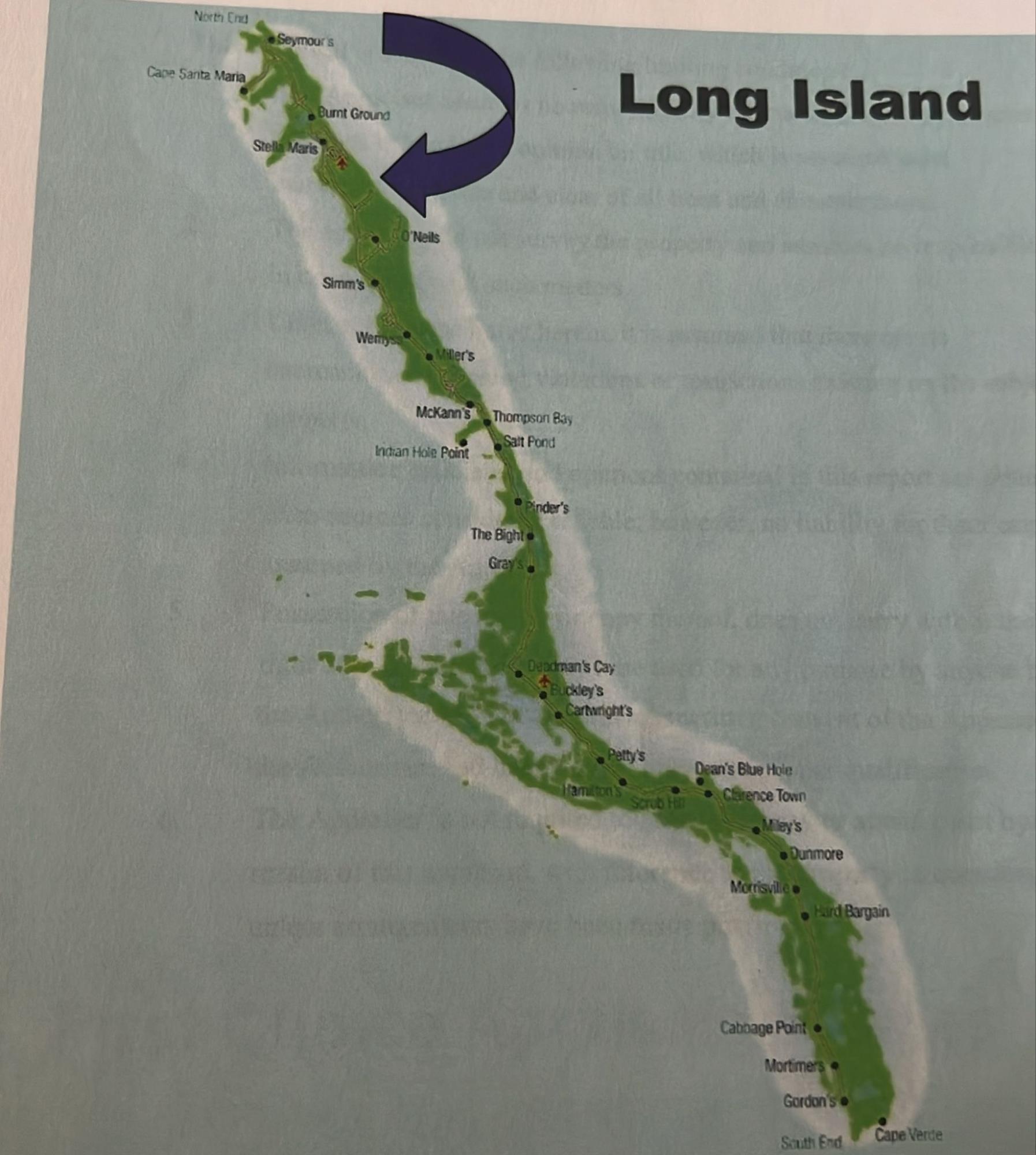 BUNCHES LONG ISLAND