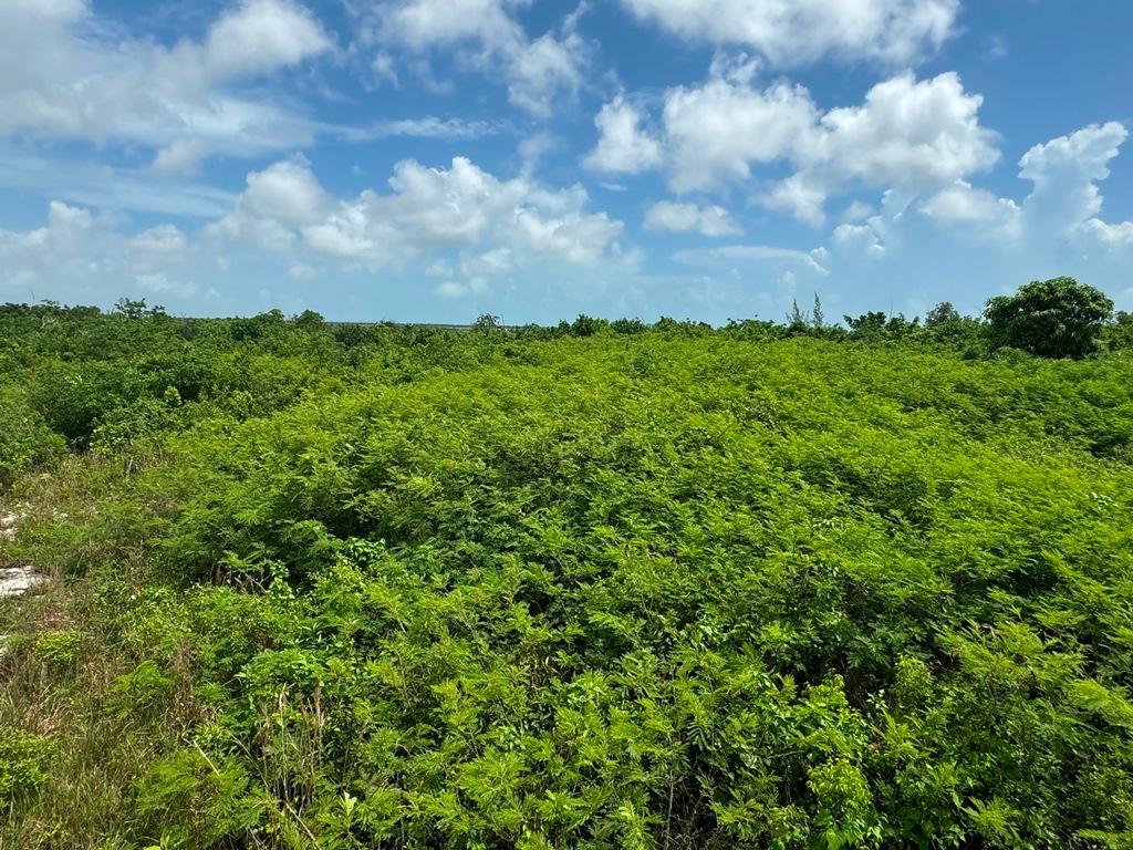 38B SWEETINGS CAY