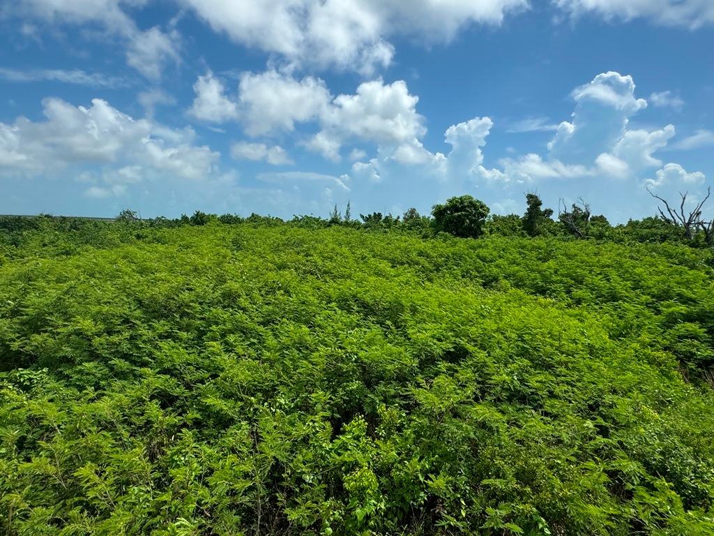 38B SWEETINGS CAY