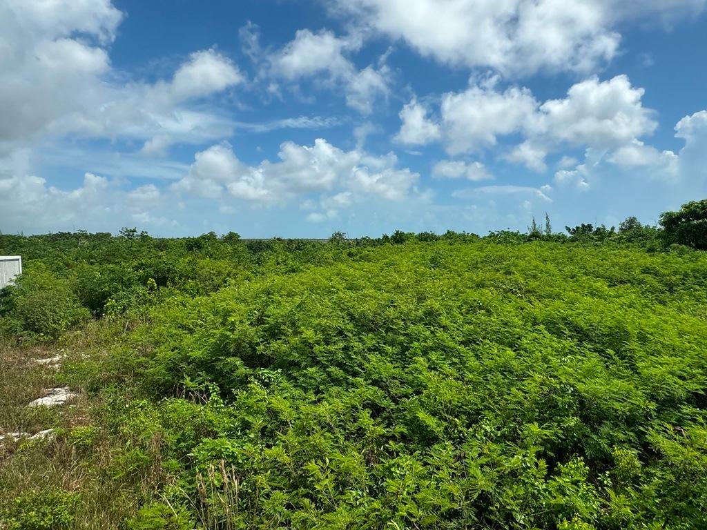 38B SWEETINGS CAY